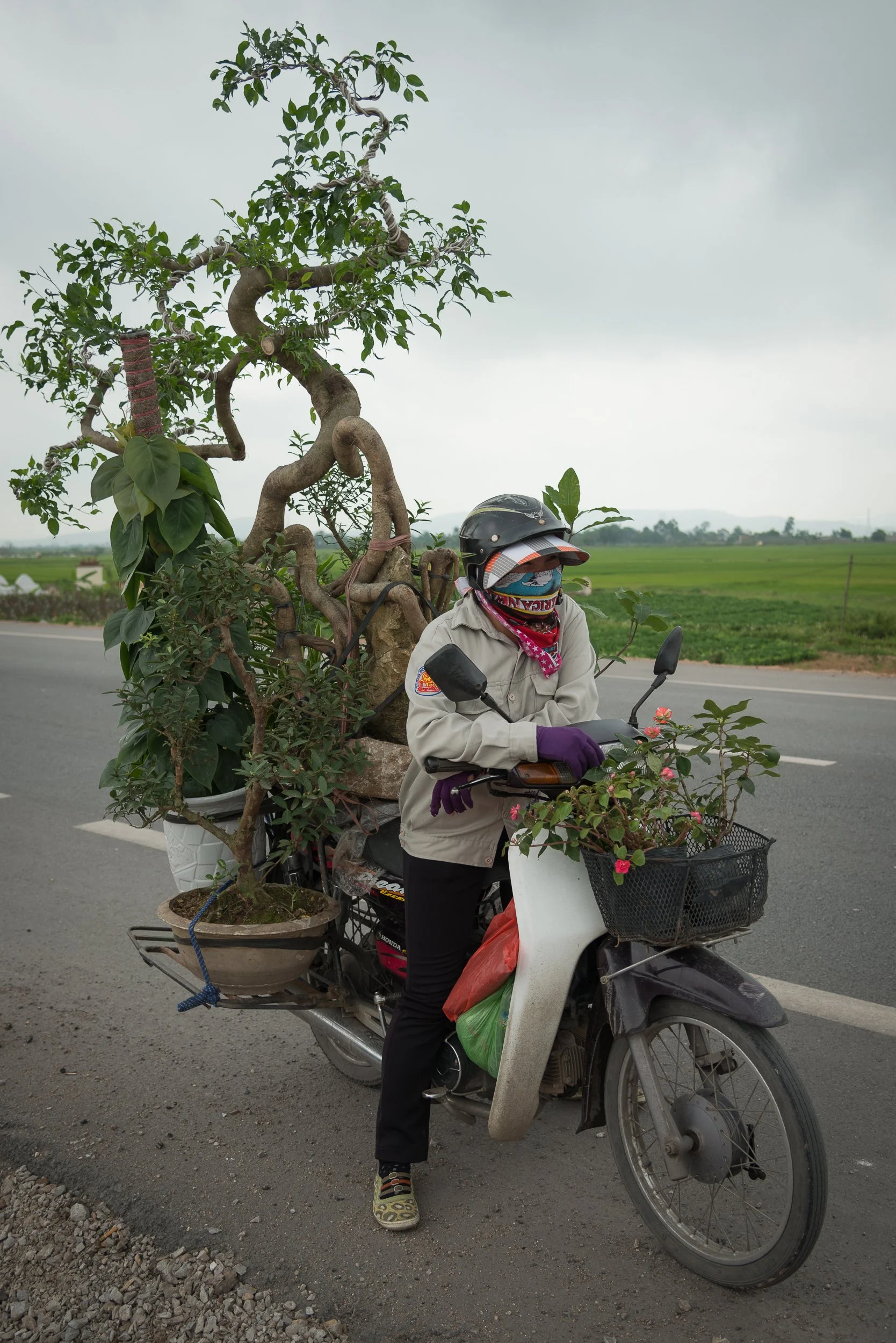 Joel Collins - Motorbikes-5172.jpg