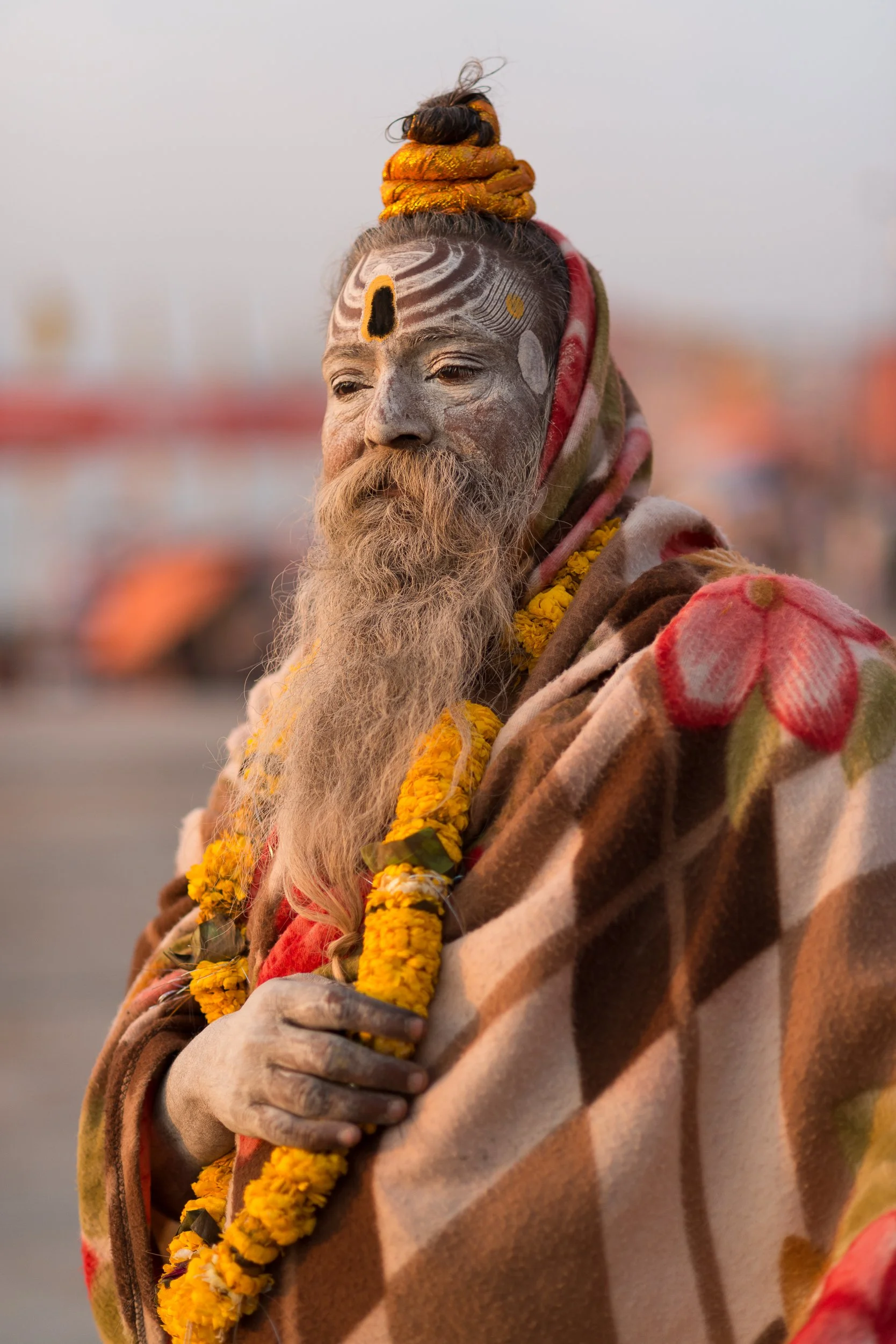 Joel Collins - India-9292.jpg