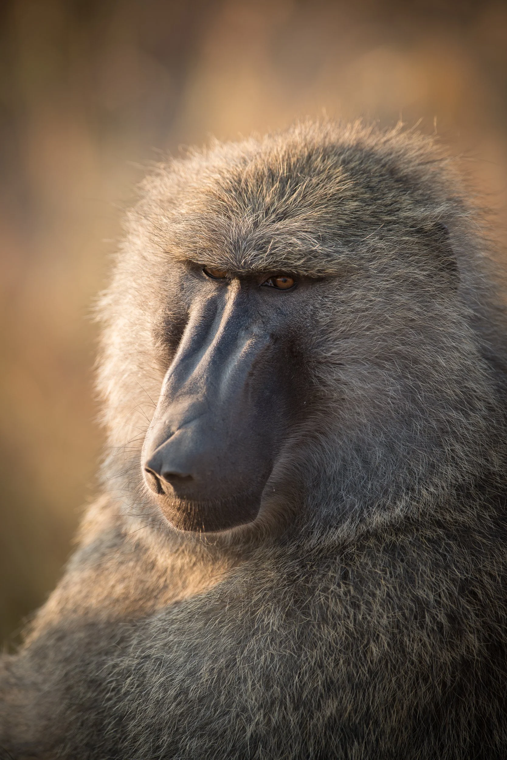 Joel Collins - Tanzania-2651.jpg