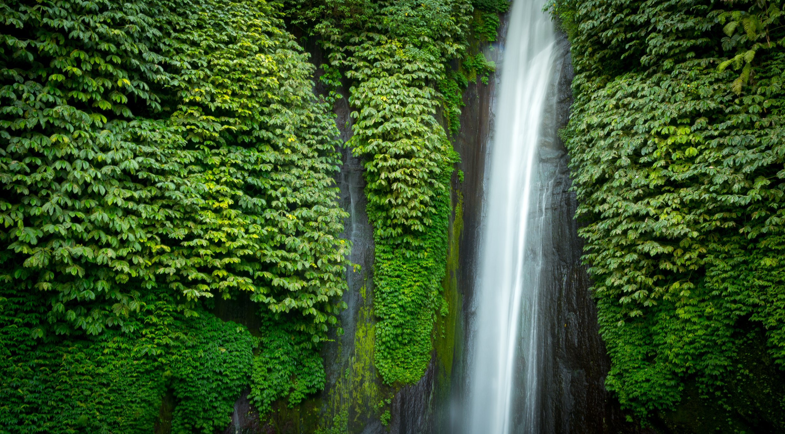 Joel Collins - Indonesia-7220.jpg
