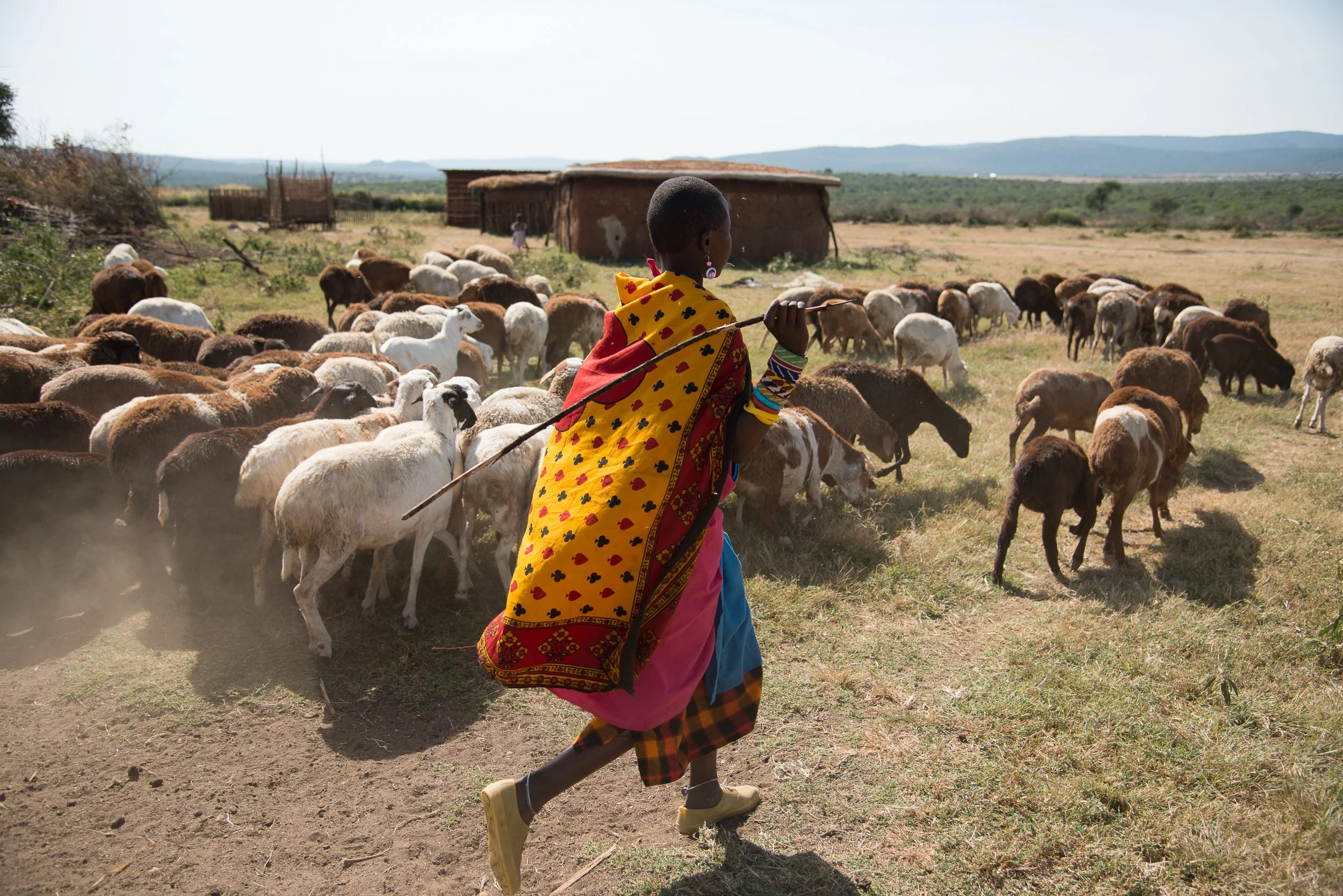 Joel Collins - Tanzania-7060.jpg