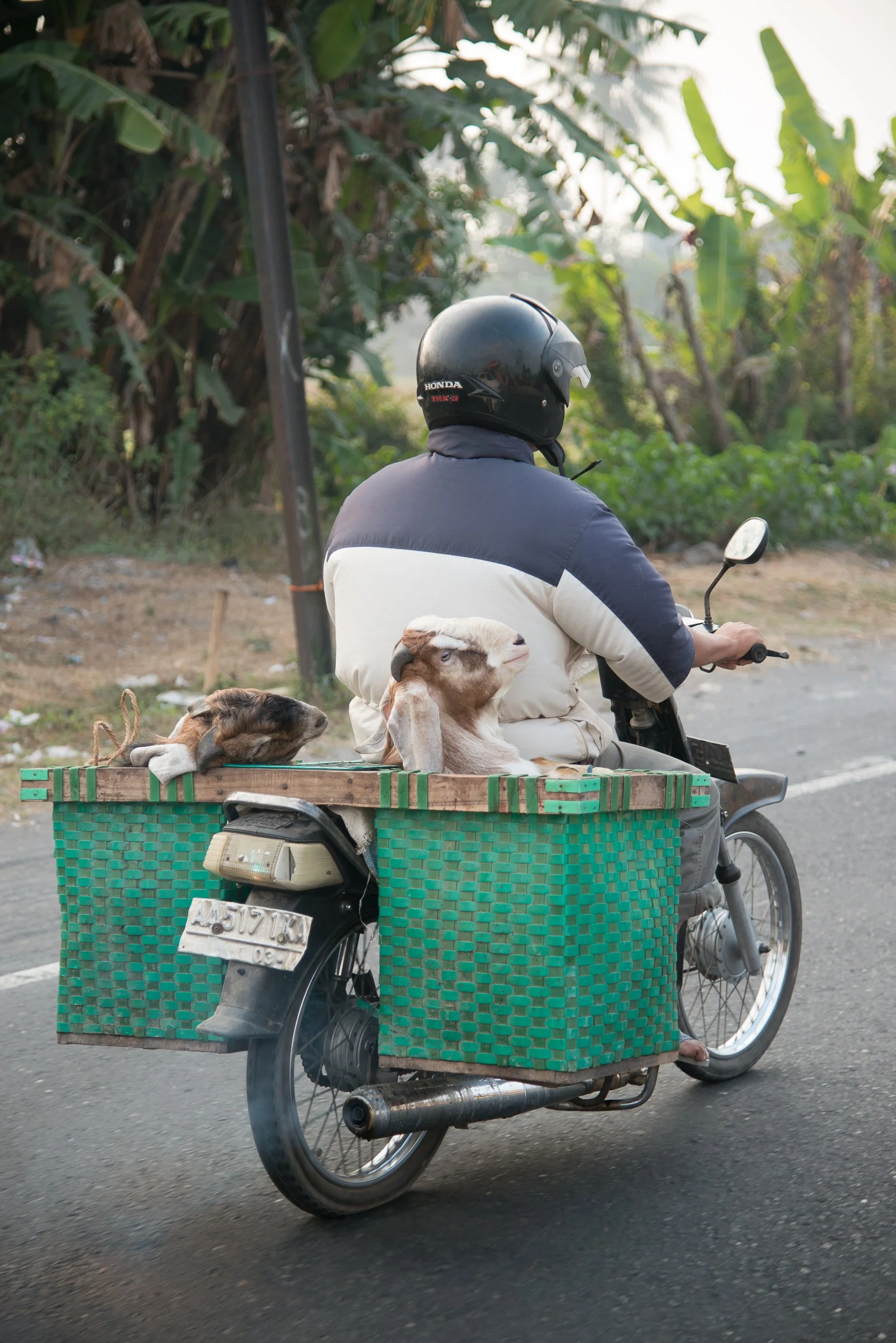 Joel Collins - Motorbikes-8200.jpg