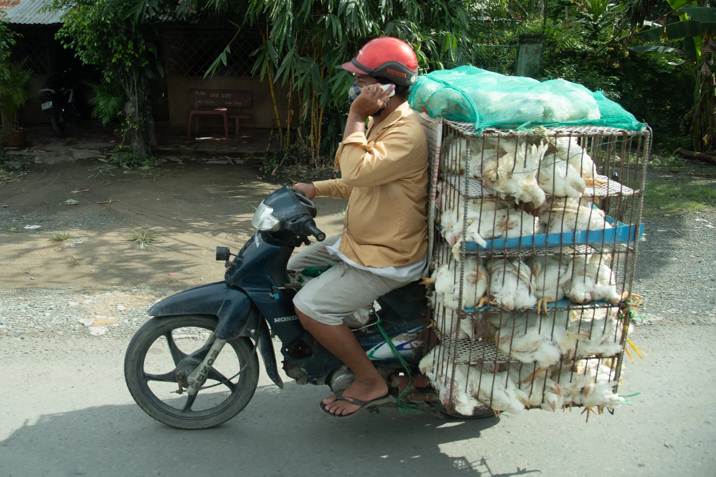 Joel Collins - Motorbikes-6891.jpg