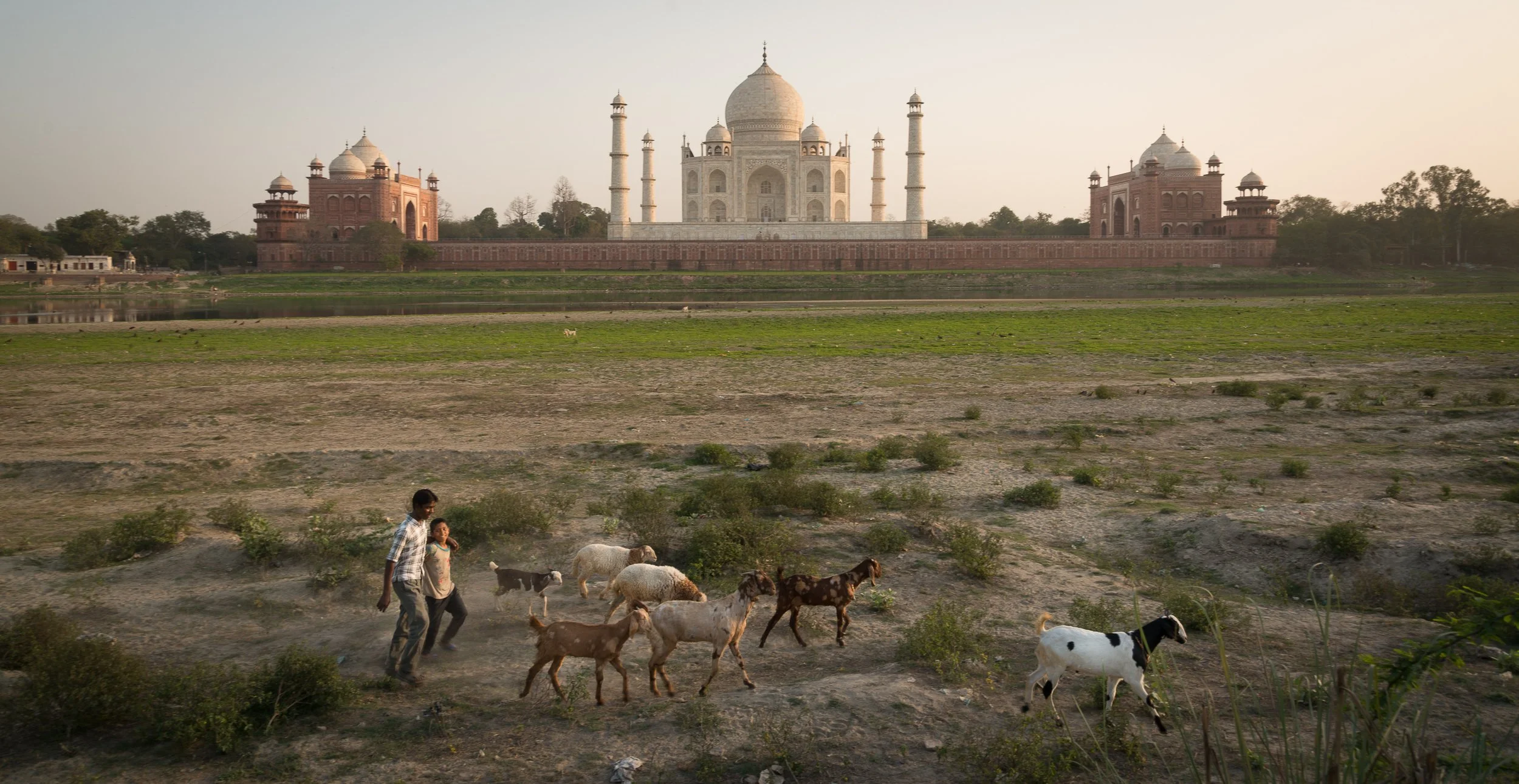 Joel Collins - India-8172.jpg
