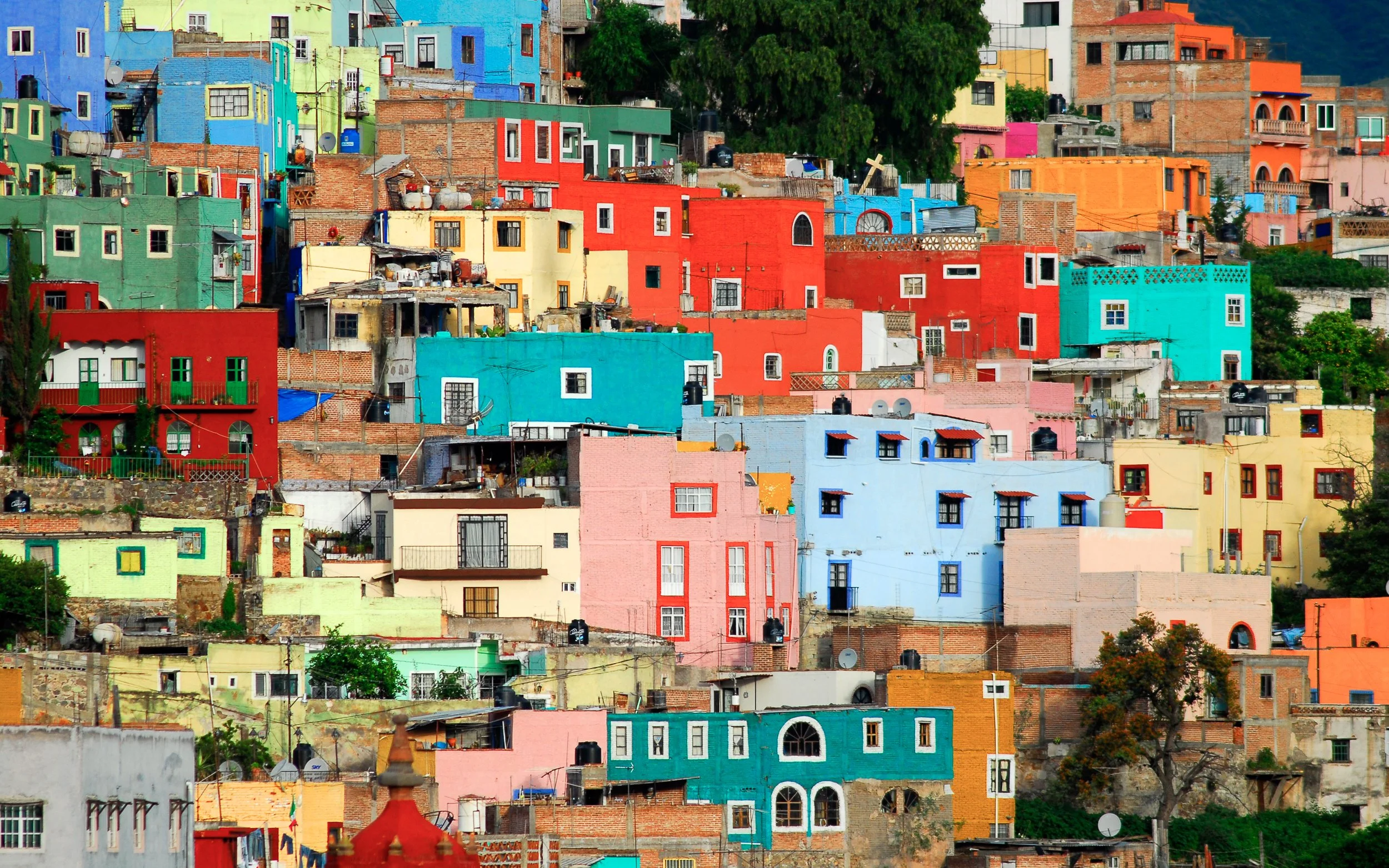 Joel Collins - Mexico-.jpg