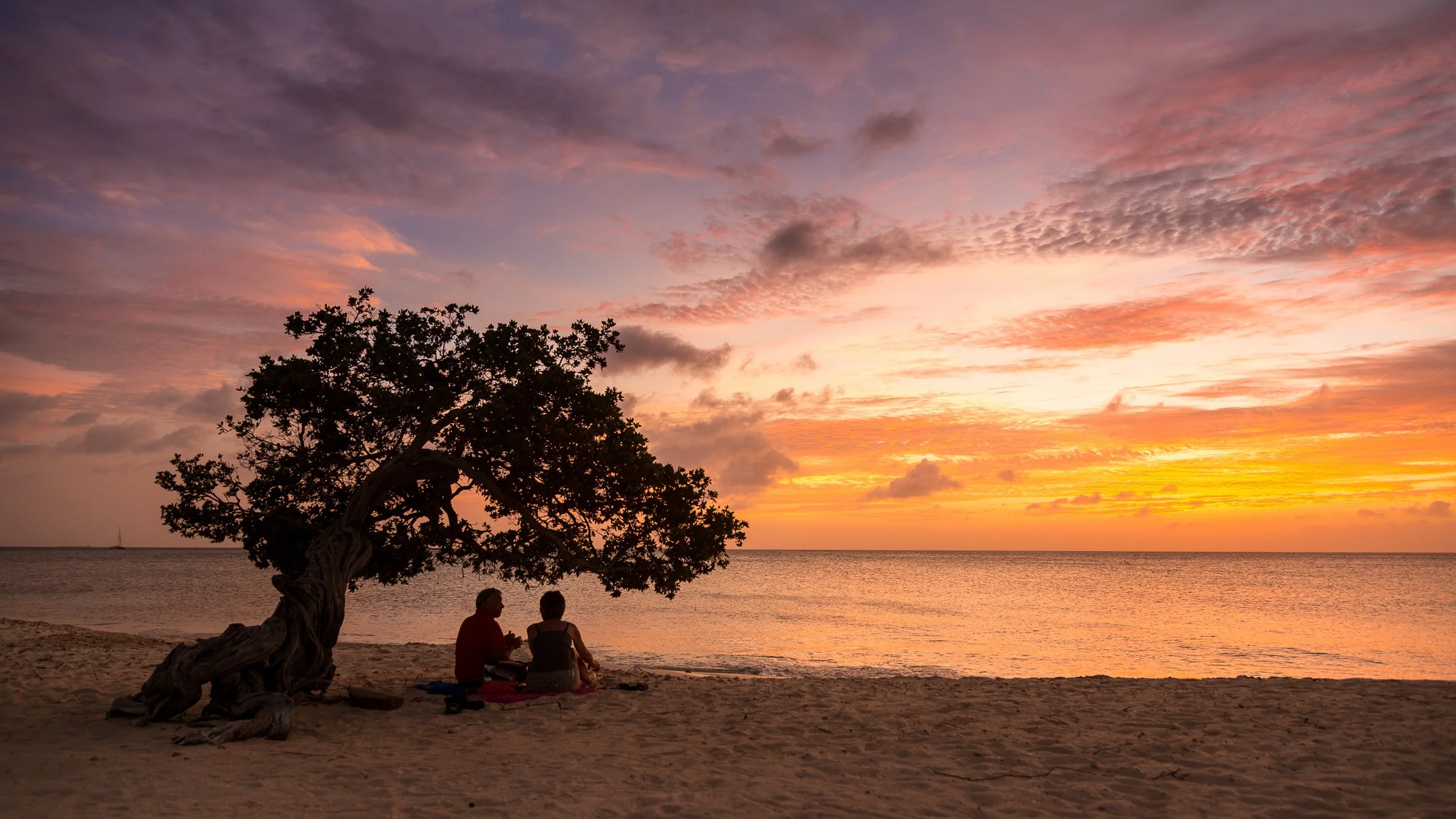 Joel Collins - Divi-9589.jpg