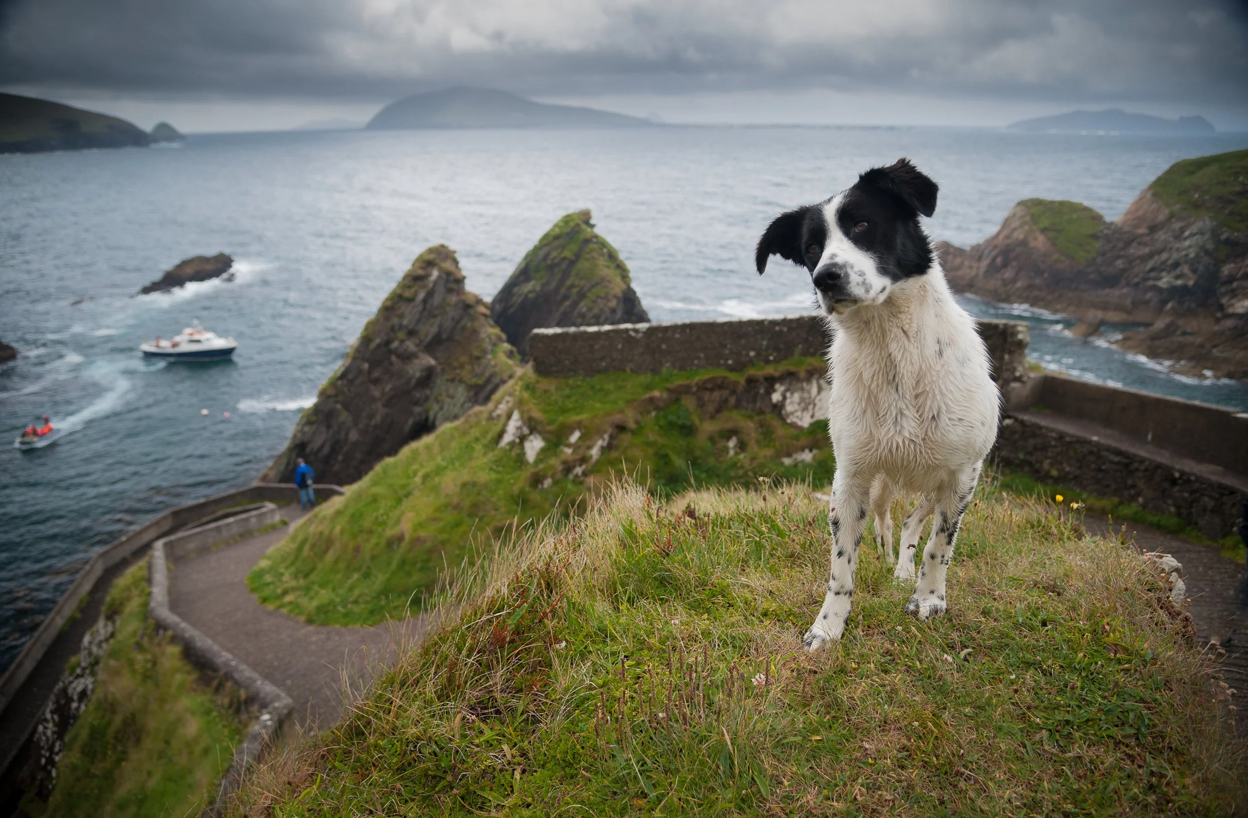 Joel Collins - Ireland-2182.jpg