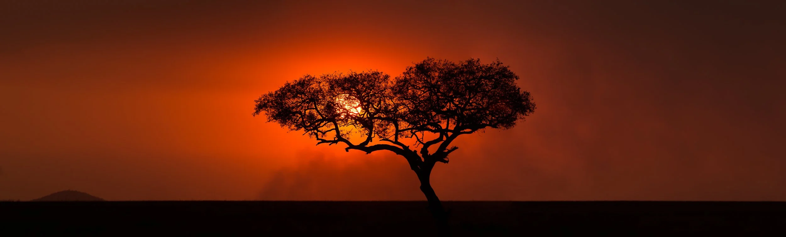 Joel Collins - Tanzania--5.jpg