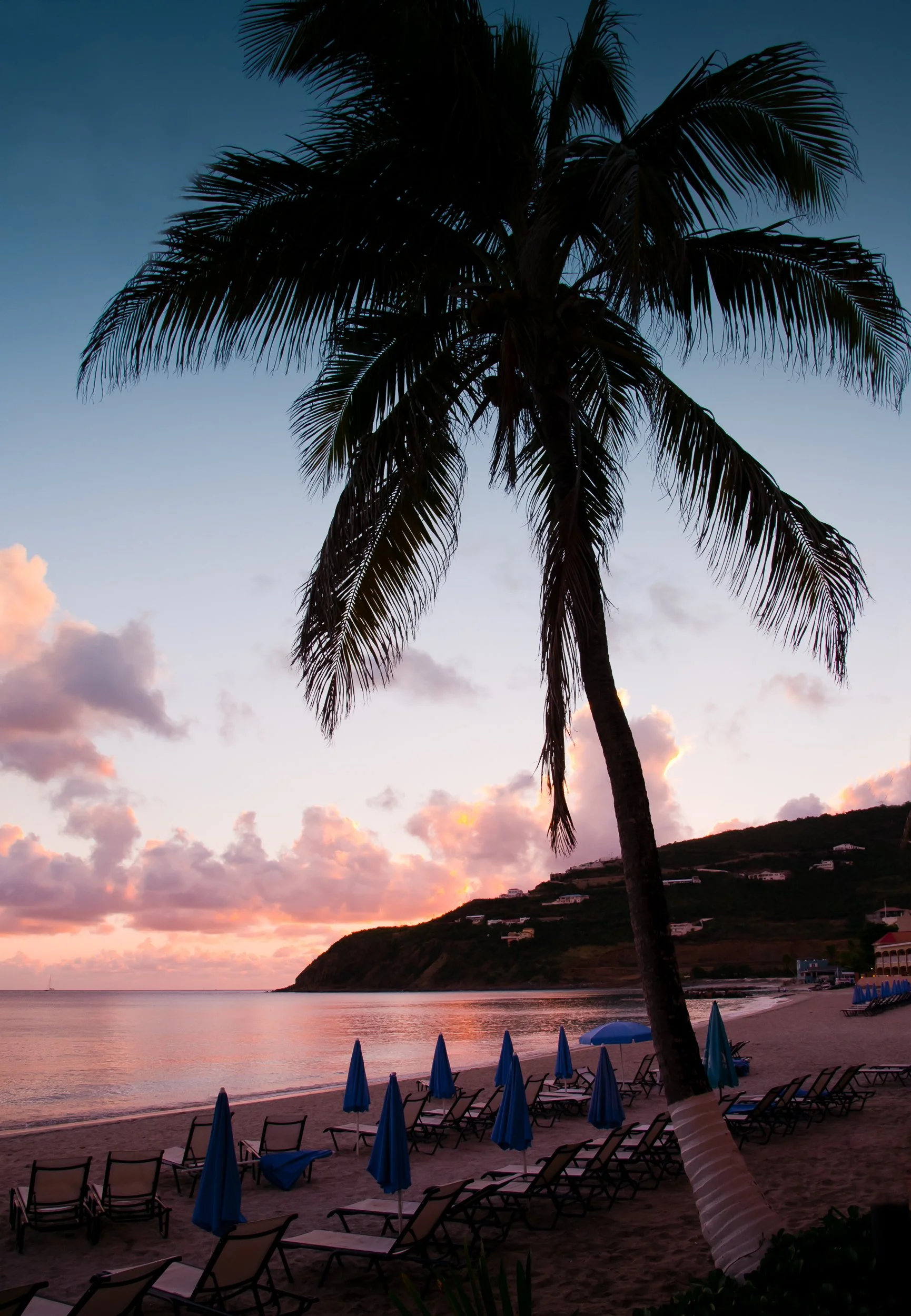 Joel Collins - Divi-.jpg