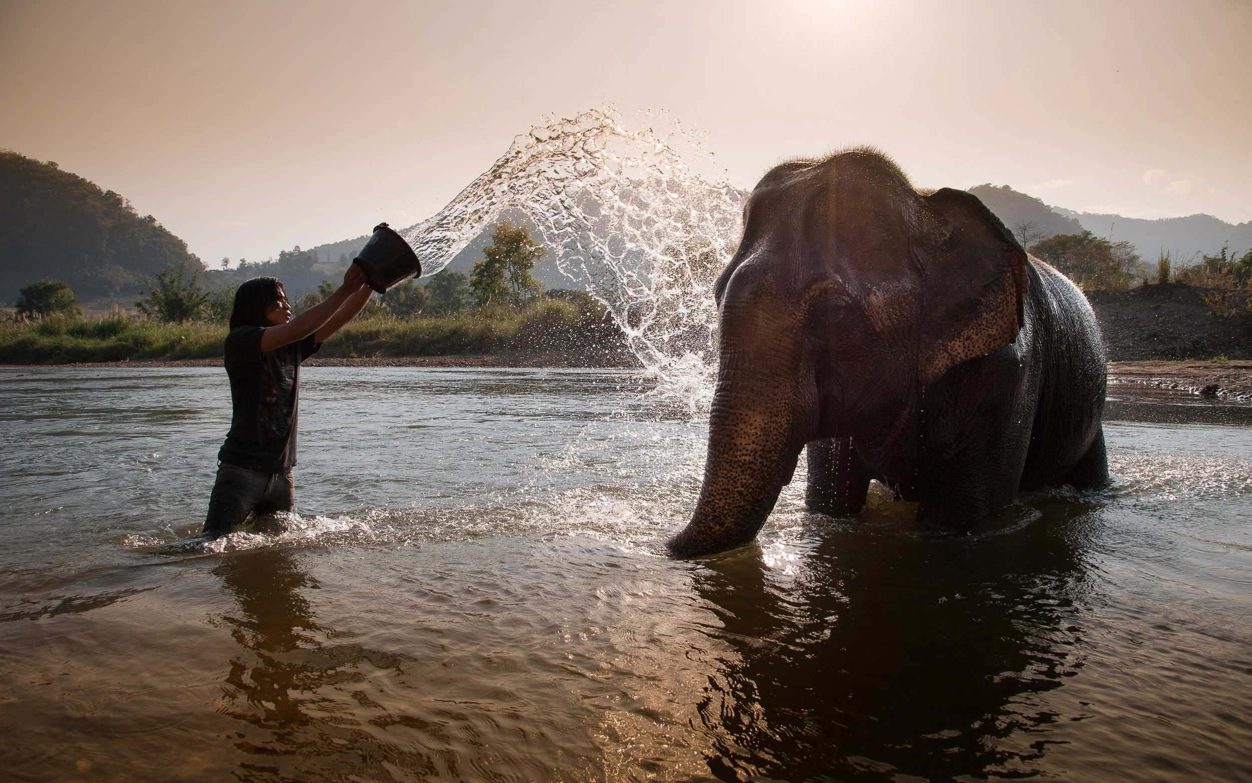 Joel Collins - Thailand-4004.jpg