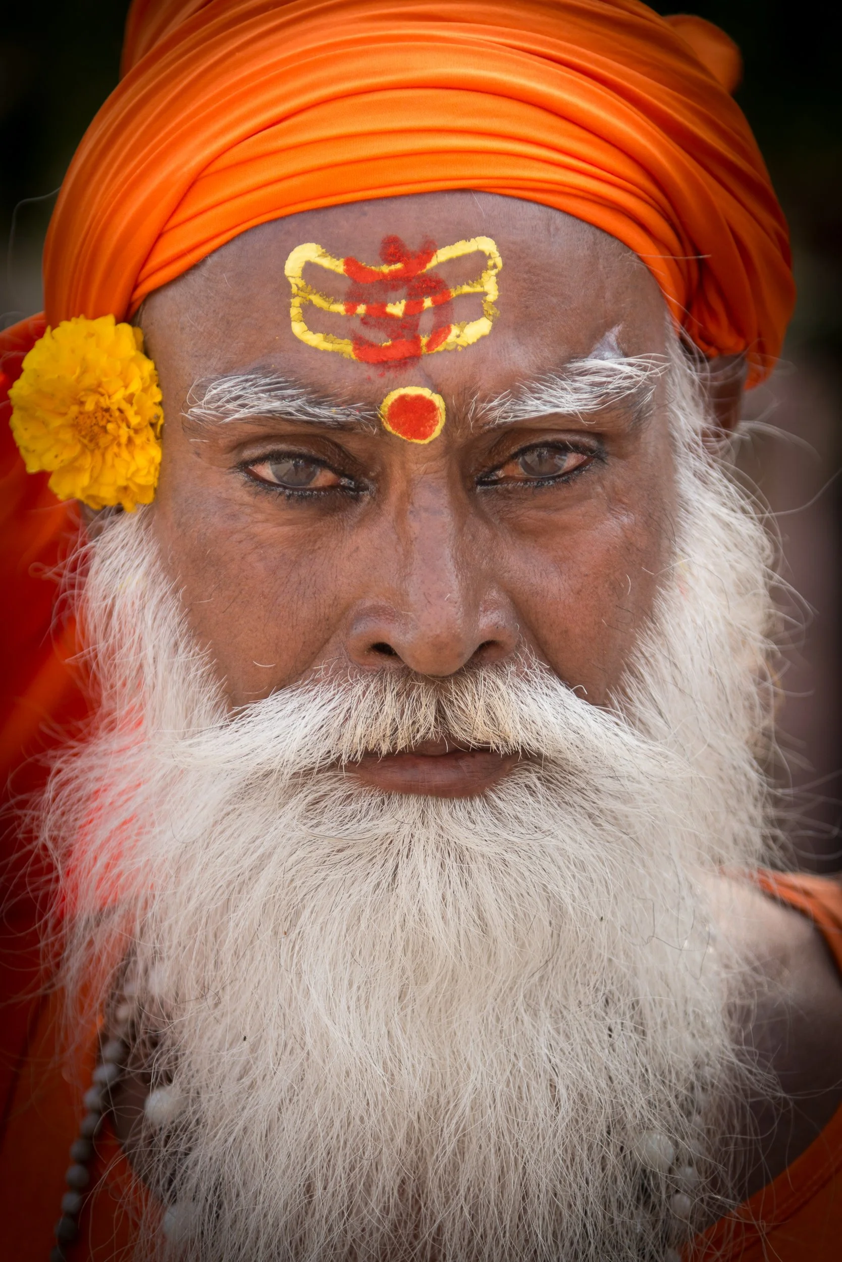 Joel Collins - India-7559.jpg