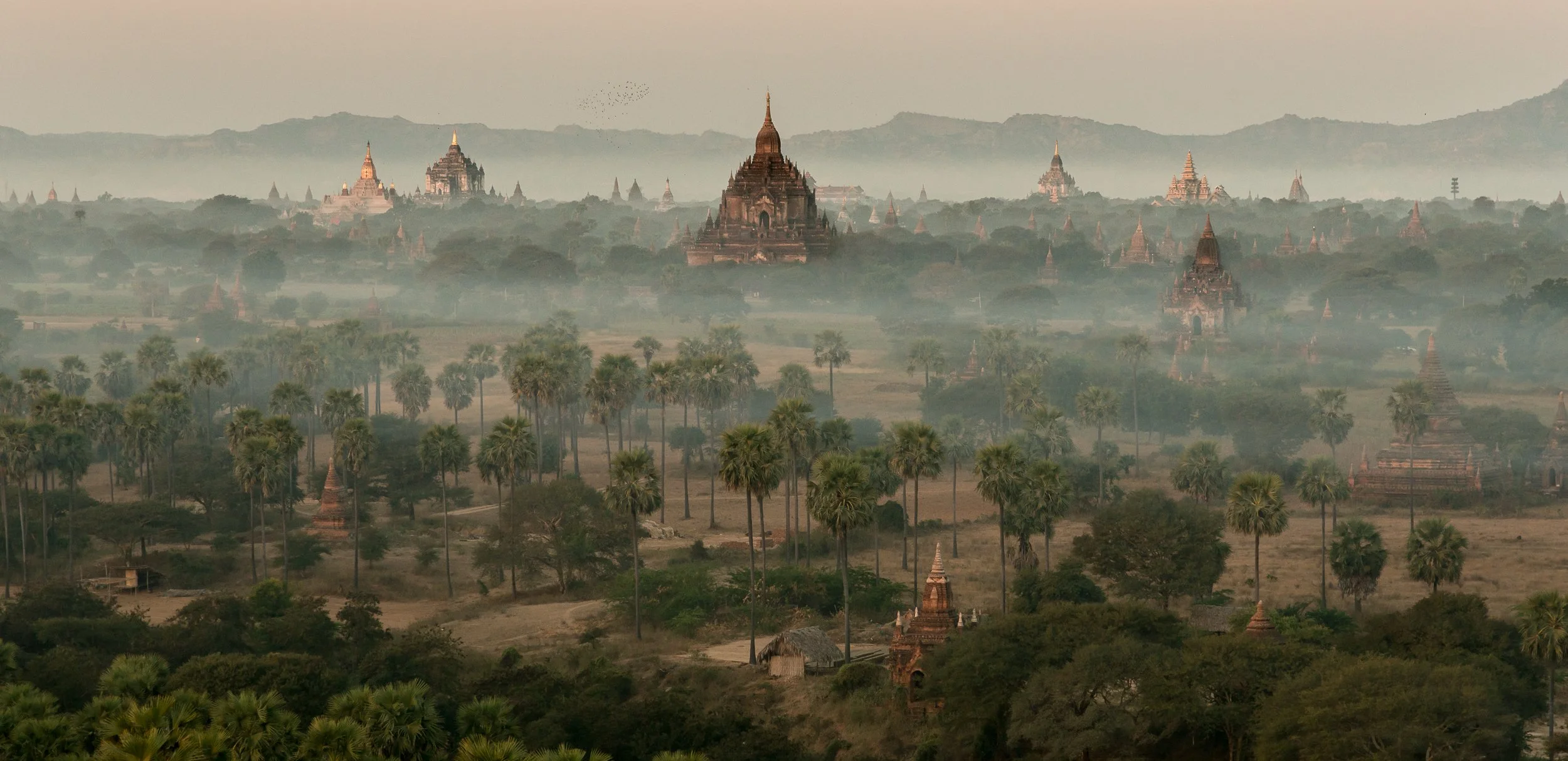 Joel Collins - Myanmar-8631.jpg