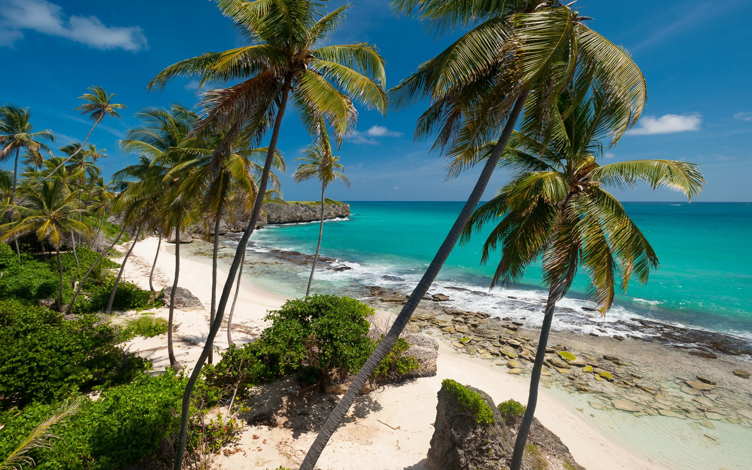 Joel Collins - Barbados-9452.jpg