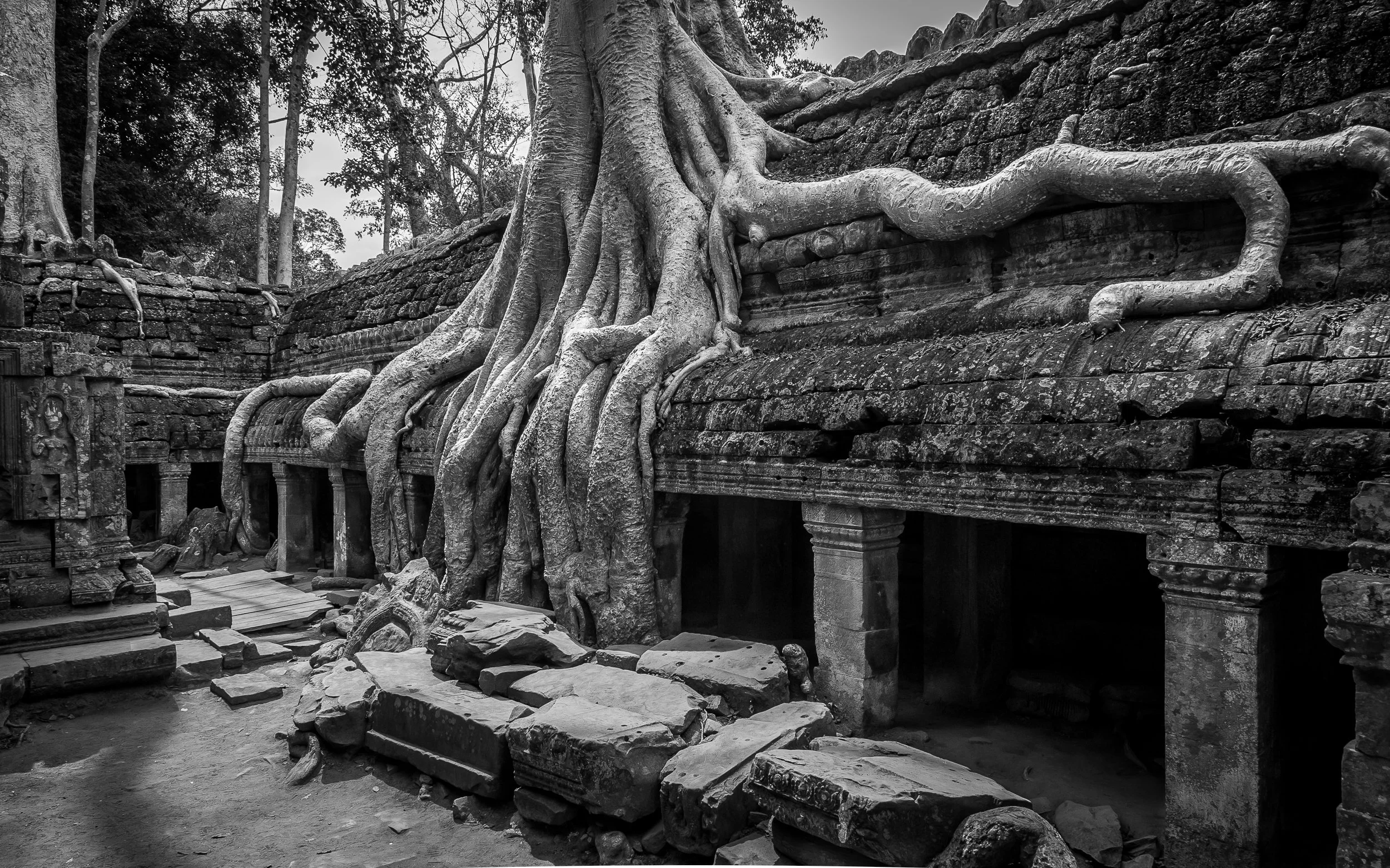 Joel Collins - Cambodia-4820.jpg