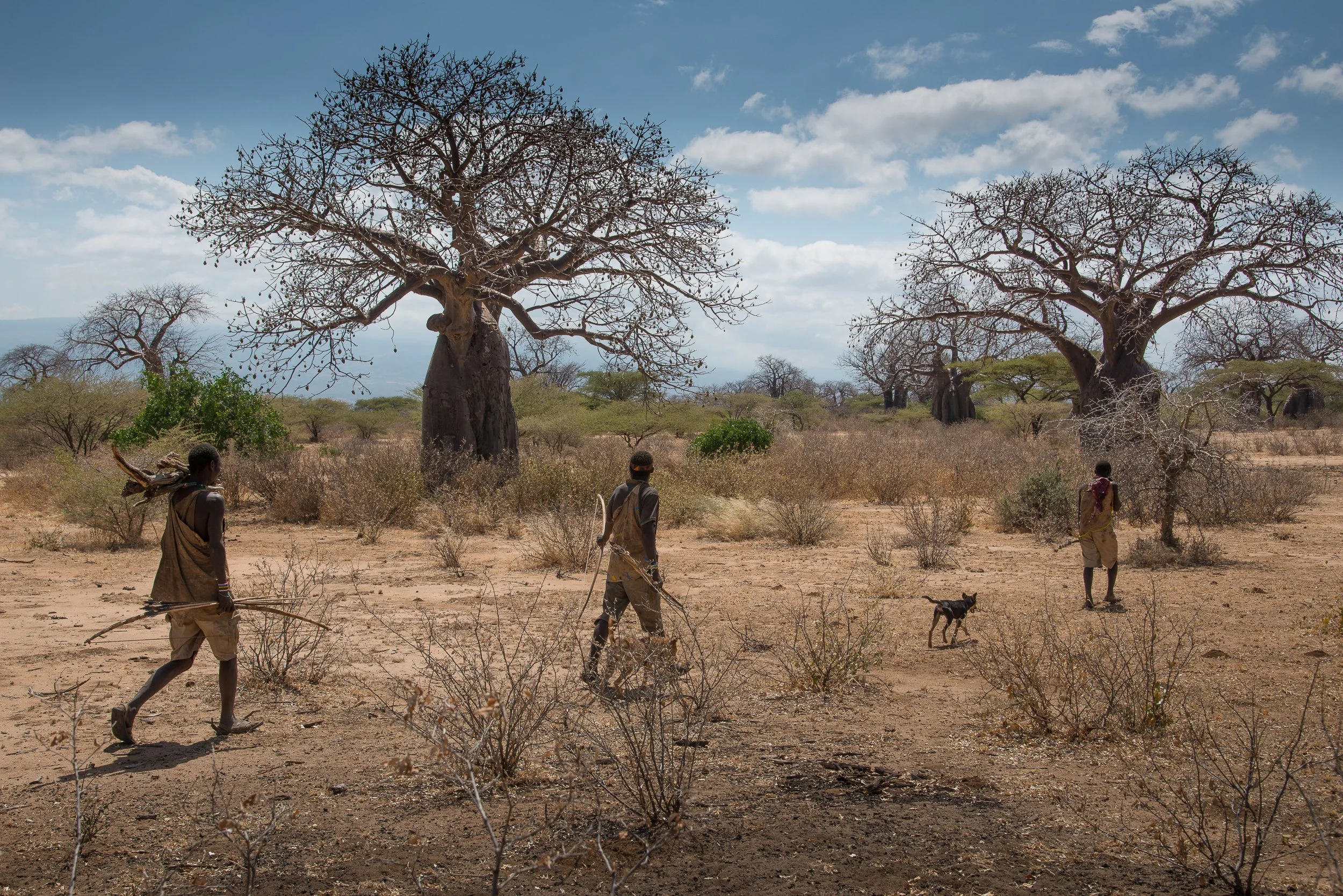 Joel Collins - Tanzania-8305.jpg