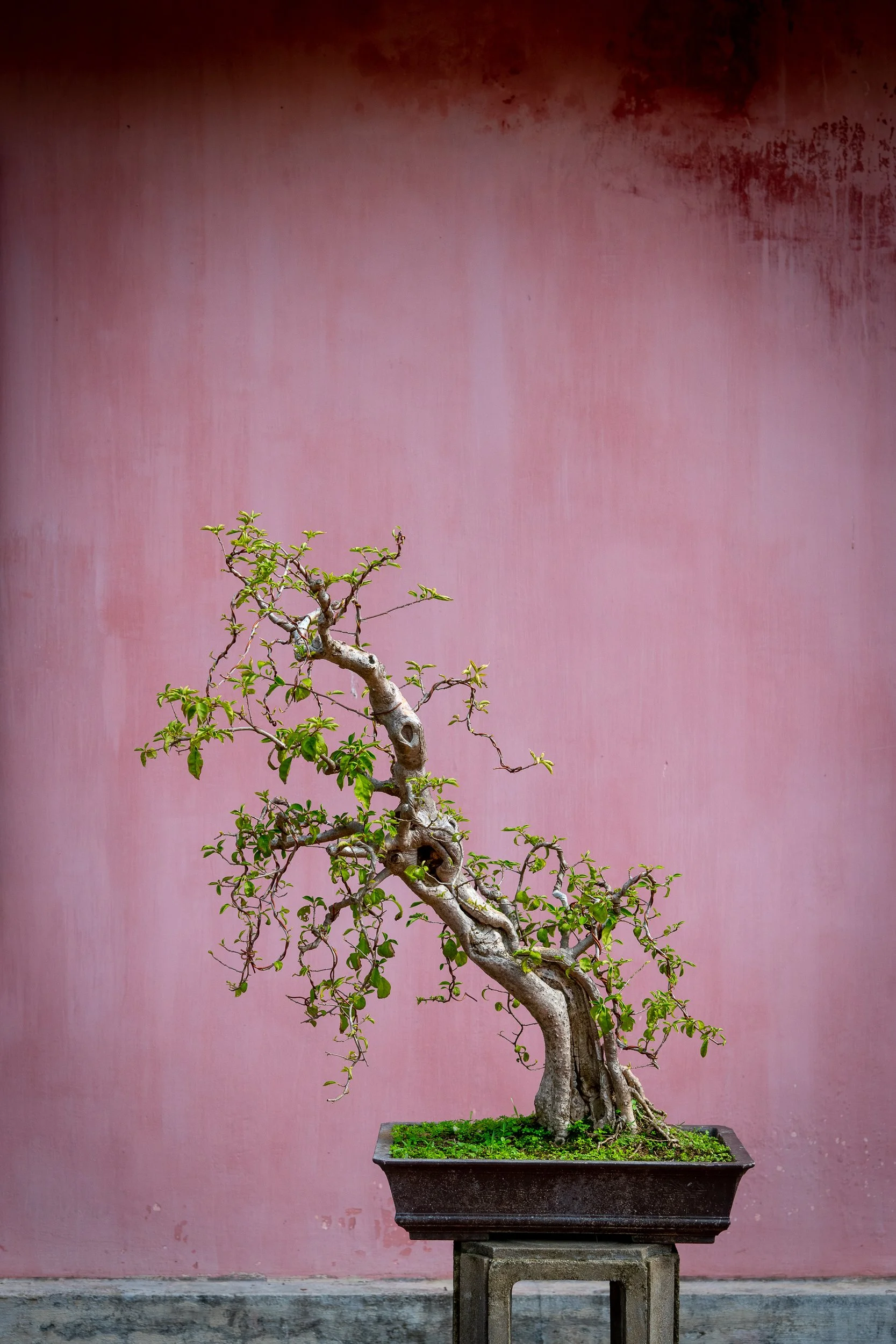 Joel Collins - Vietnam-2851.jpg