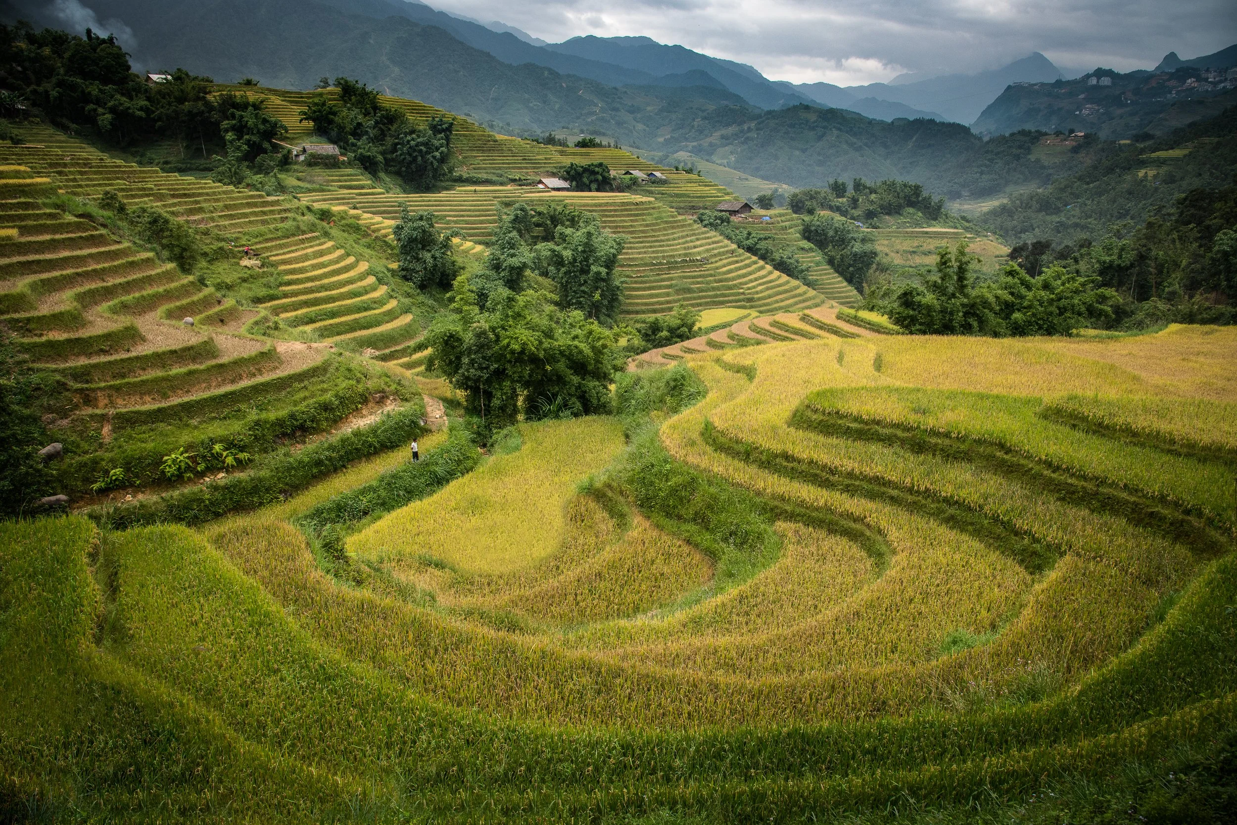 Joel Collins - Vietnam--8.jpg