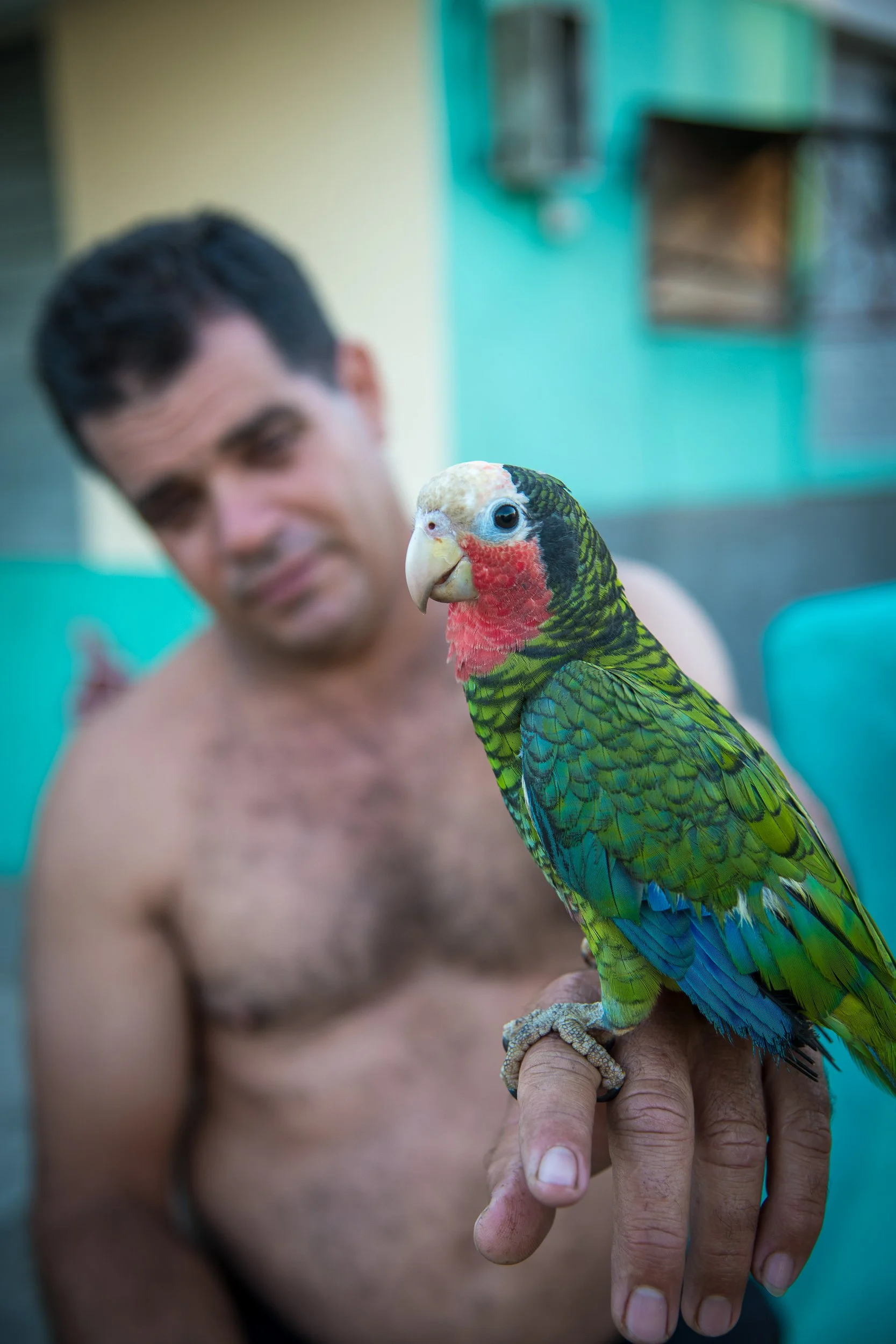 Joel Collins - Cuba-0977.jpg