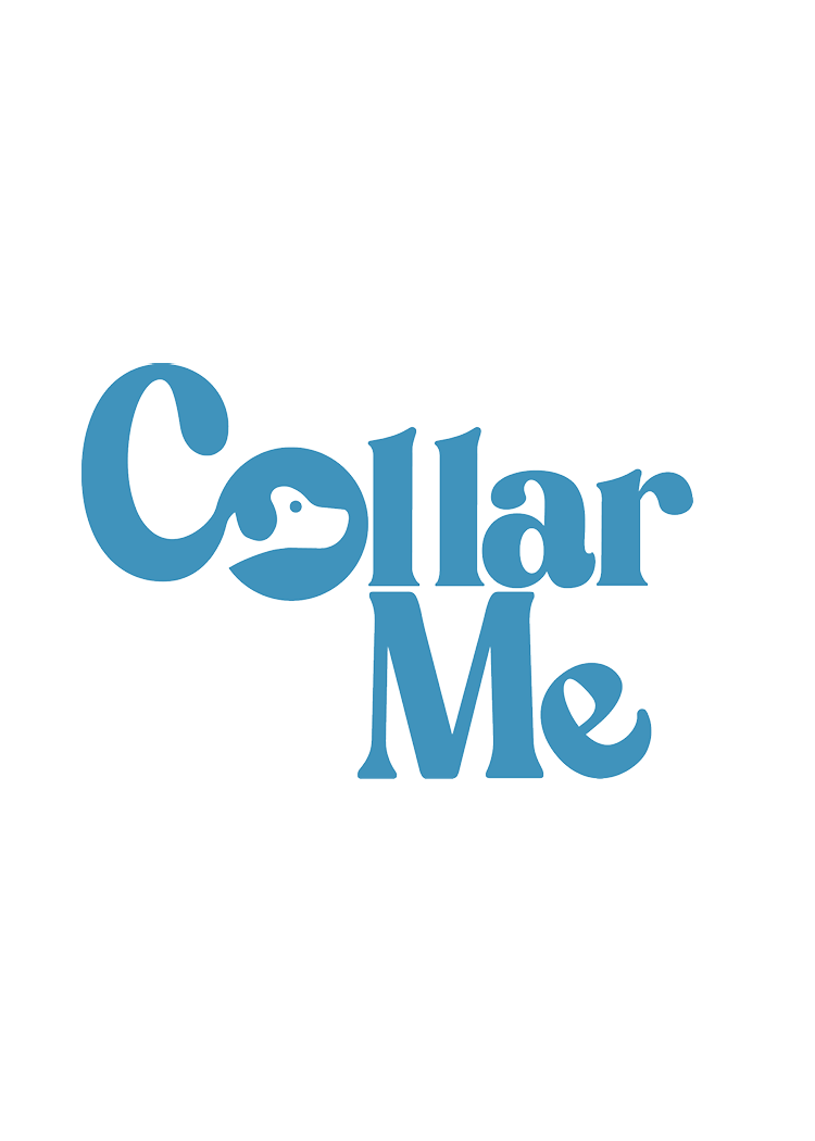 Brand Design