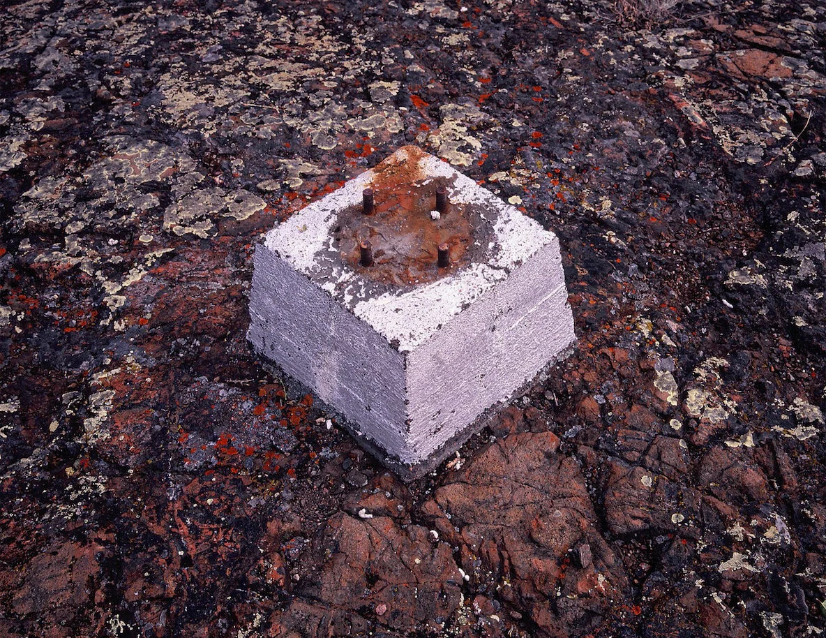 MOMENTA 2021 — LA BIENNALE SENTIE ET FLEURISSANTE