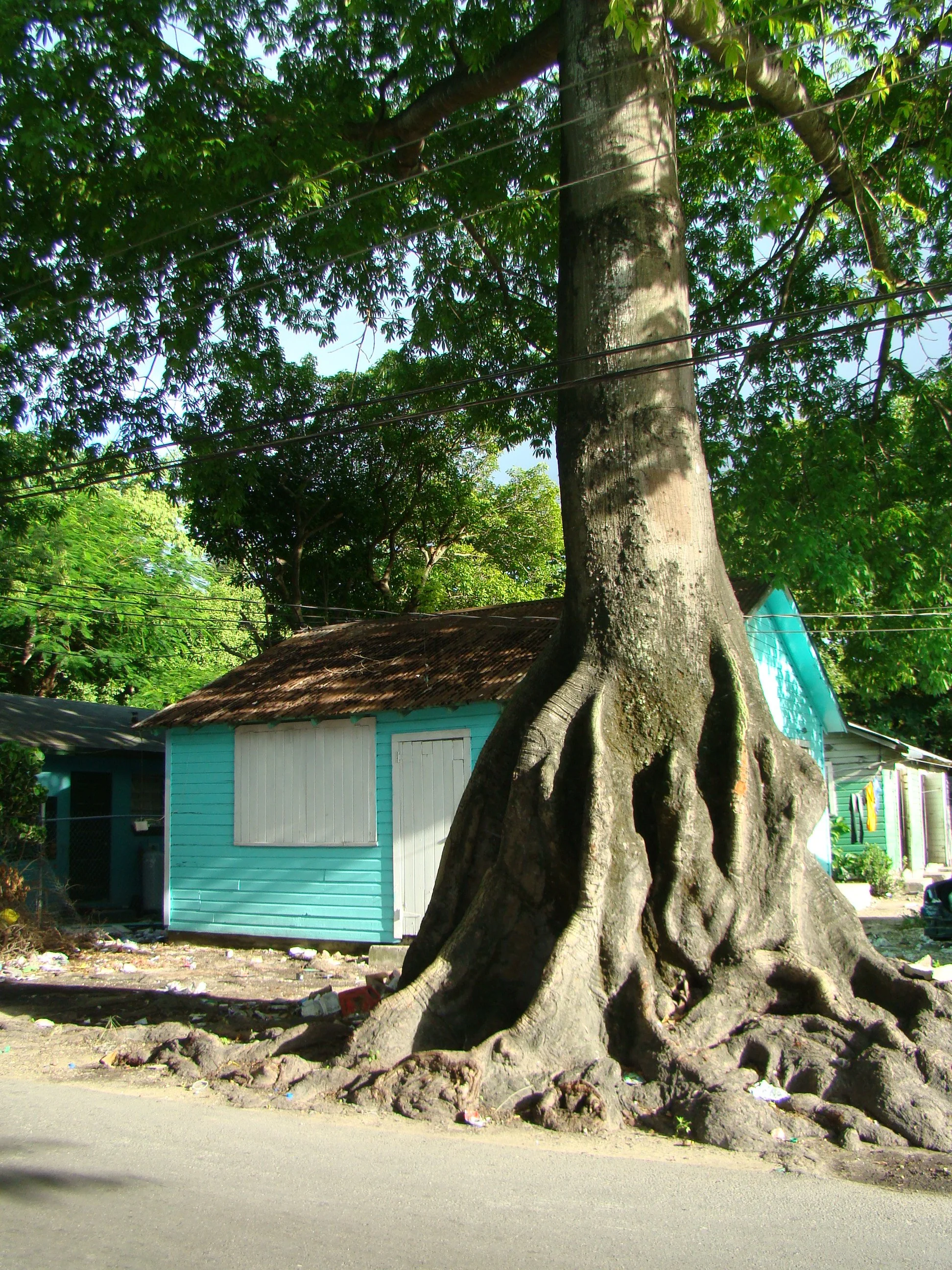 A Letter From Grants Town