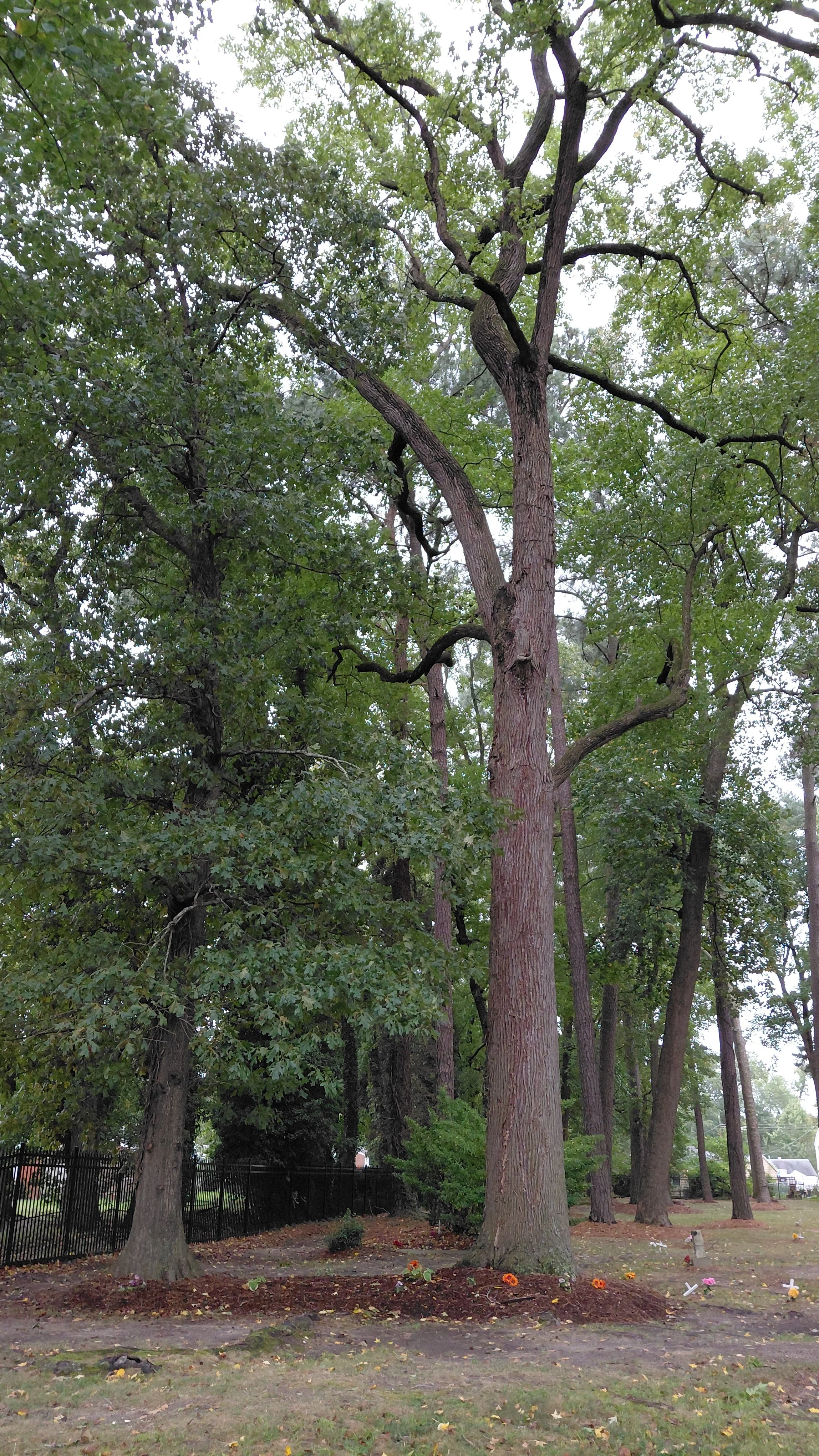 20260923_160503.jpg