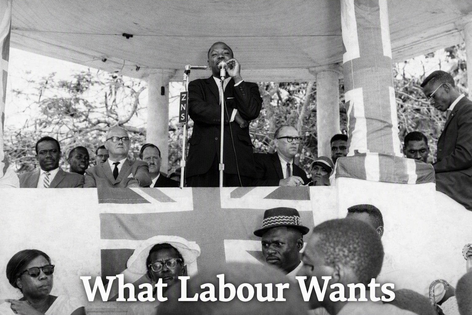What Labour Wants