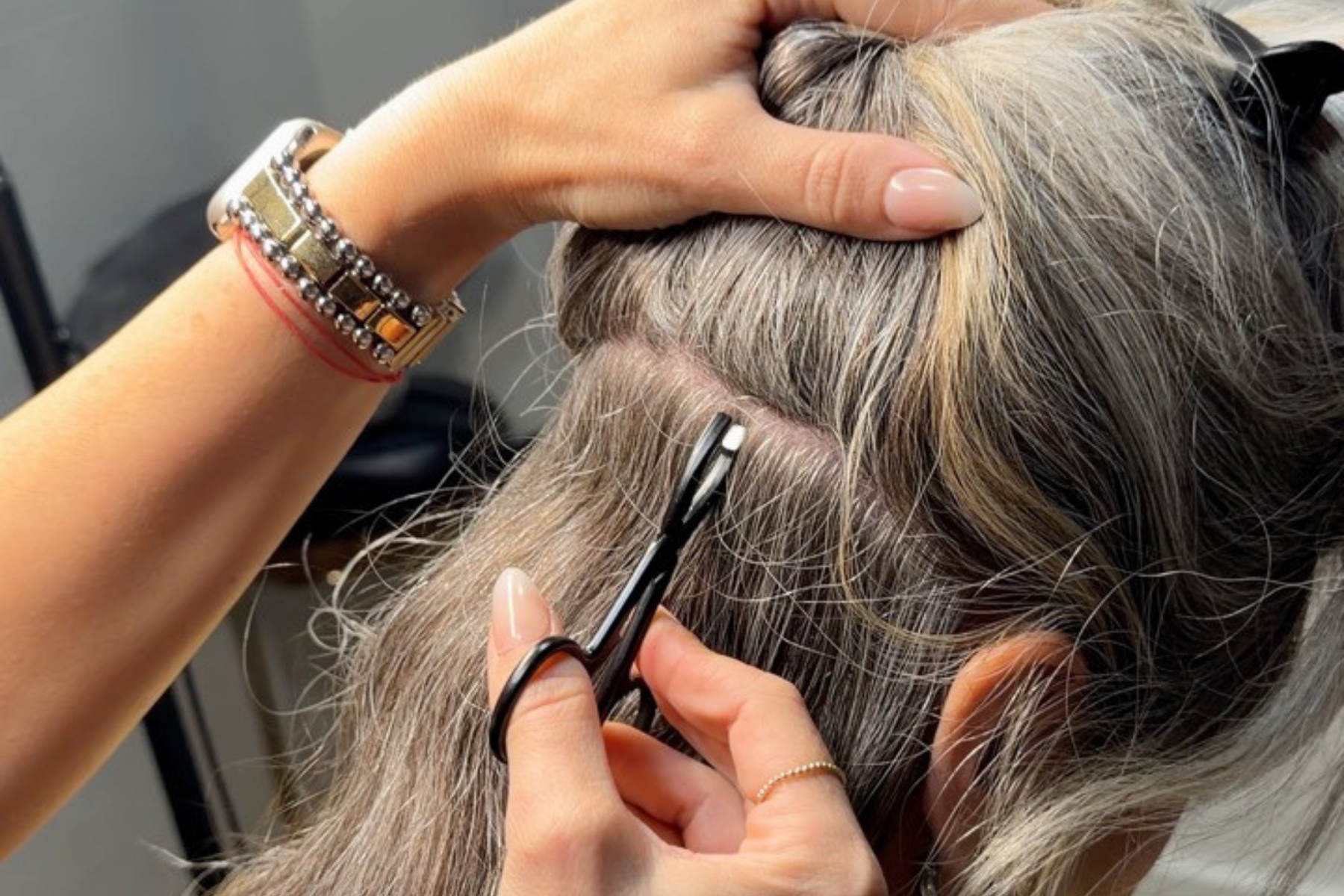 The Youngest Cells You’ll Ever Have: Hair Follicle Stem Cells and the Science of Regenerative Hair Growth