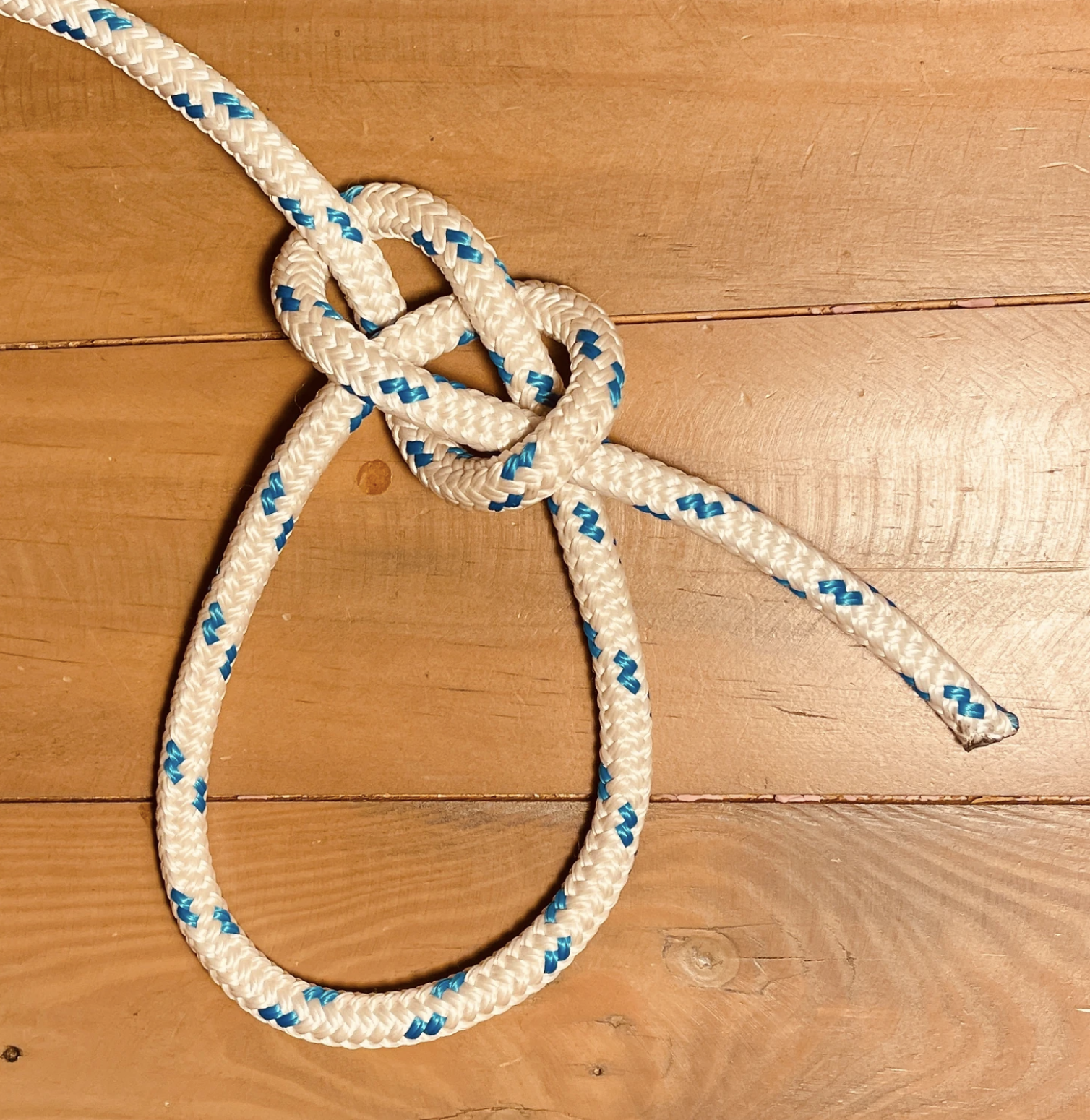 A bowline knot