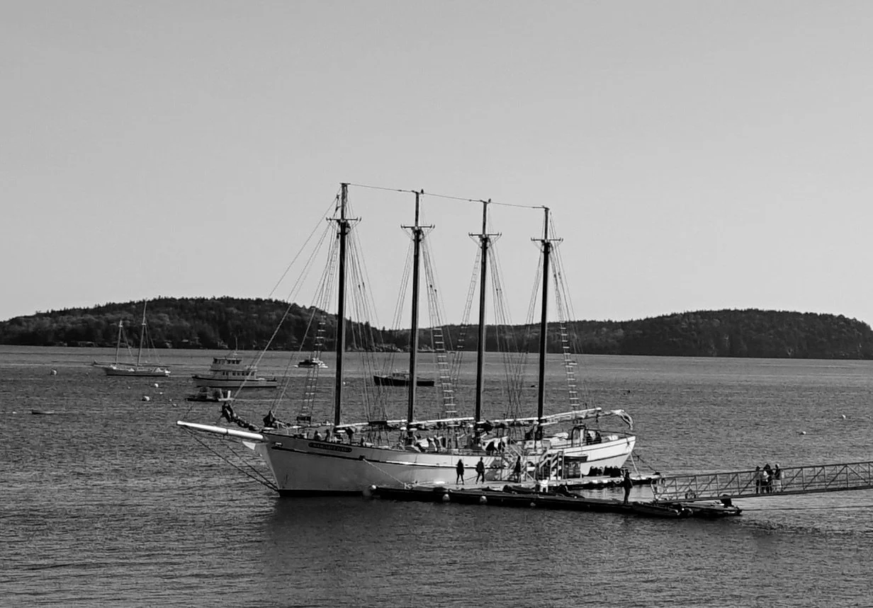 DSC05736.JPG