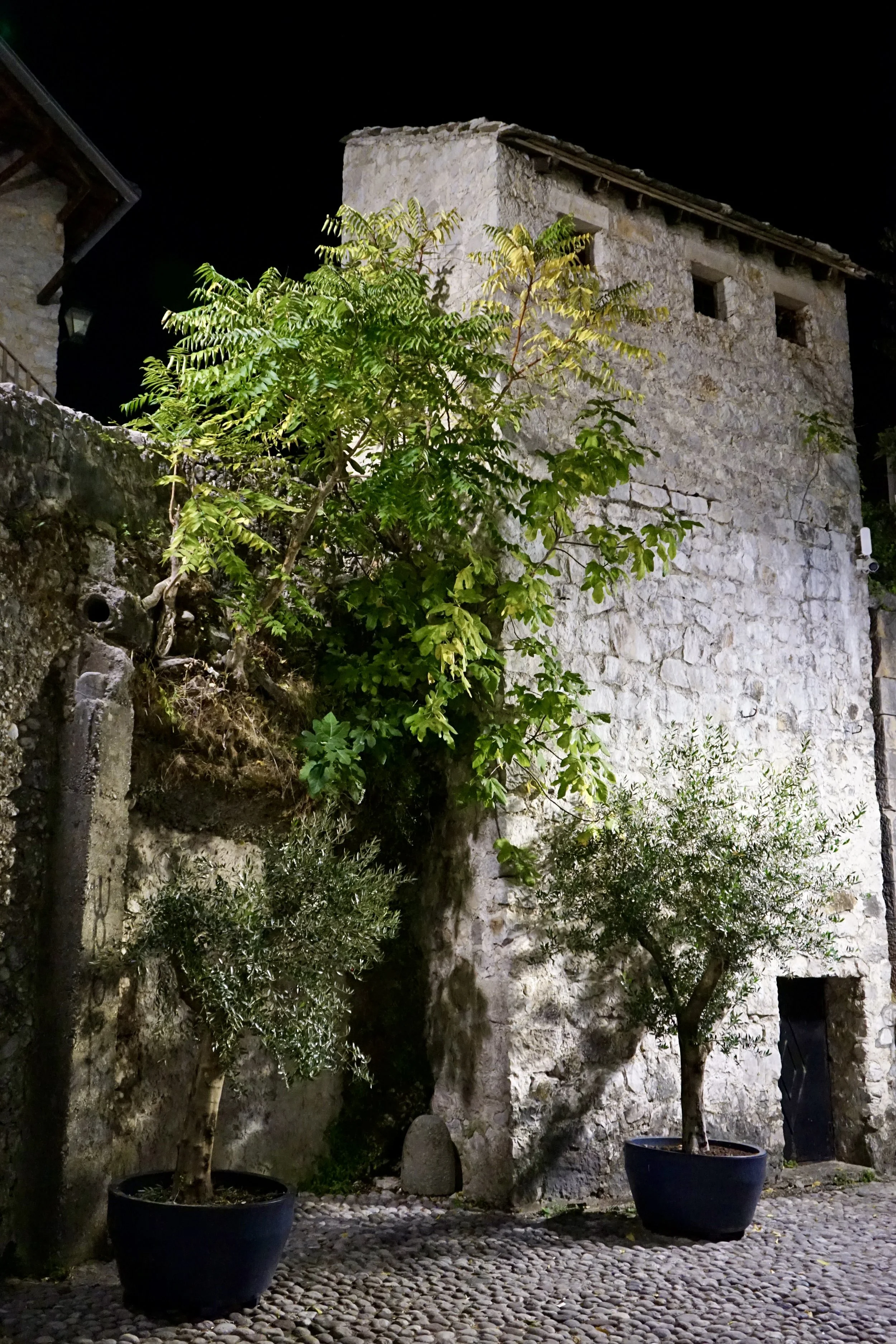 DSC06139.JPG