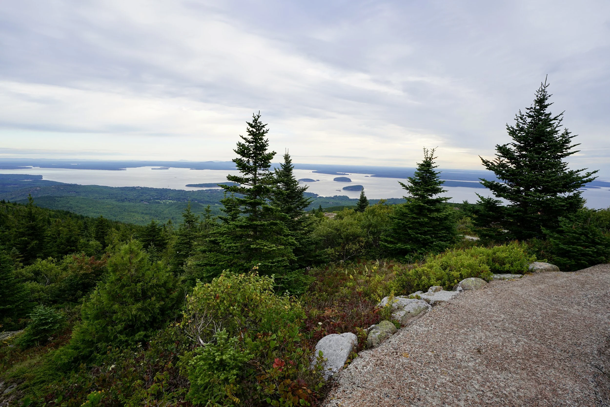 DSC05725.JPG