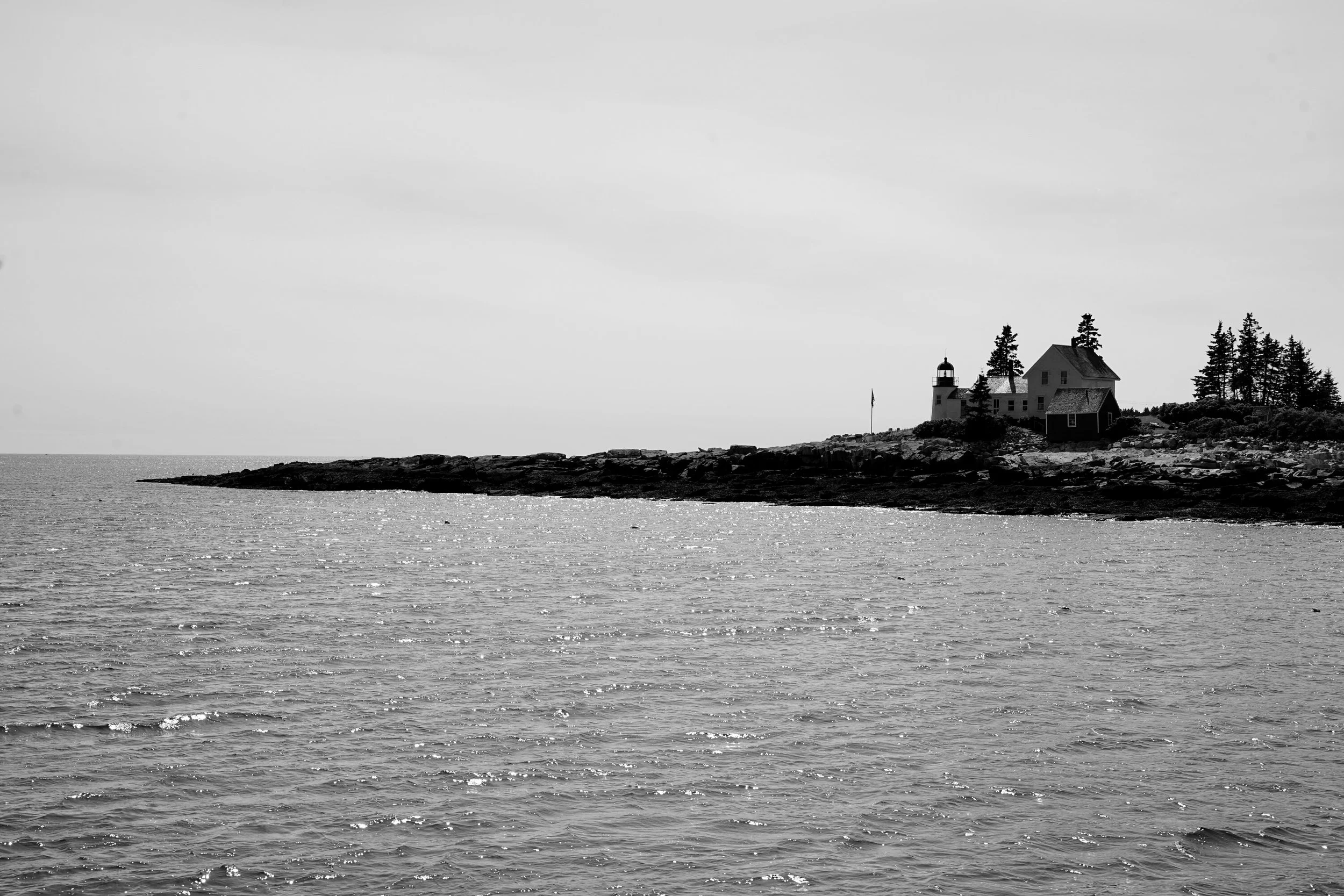 DSC05812.JPG
