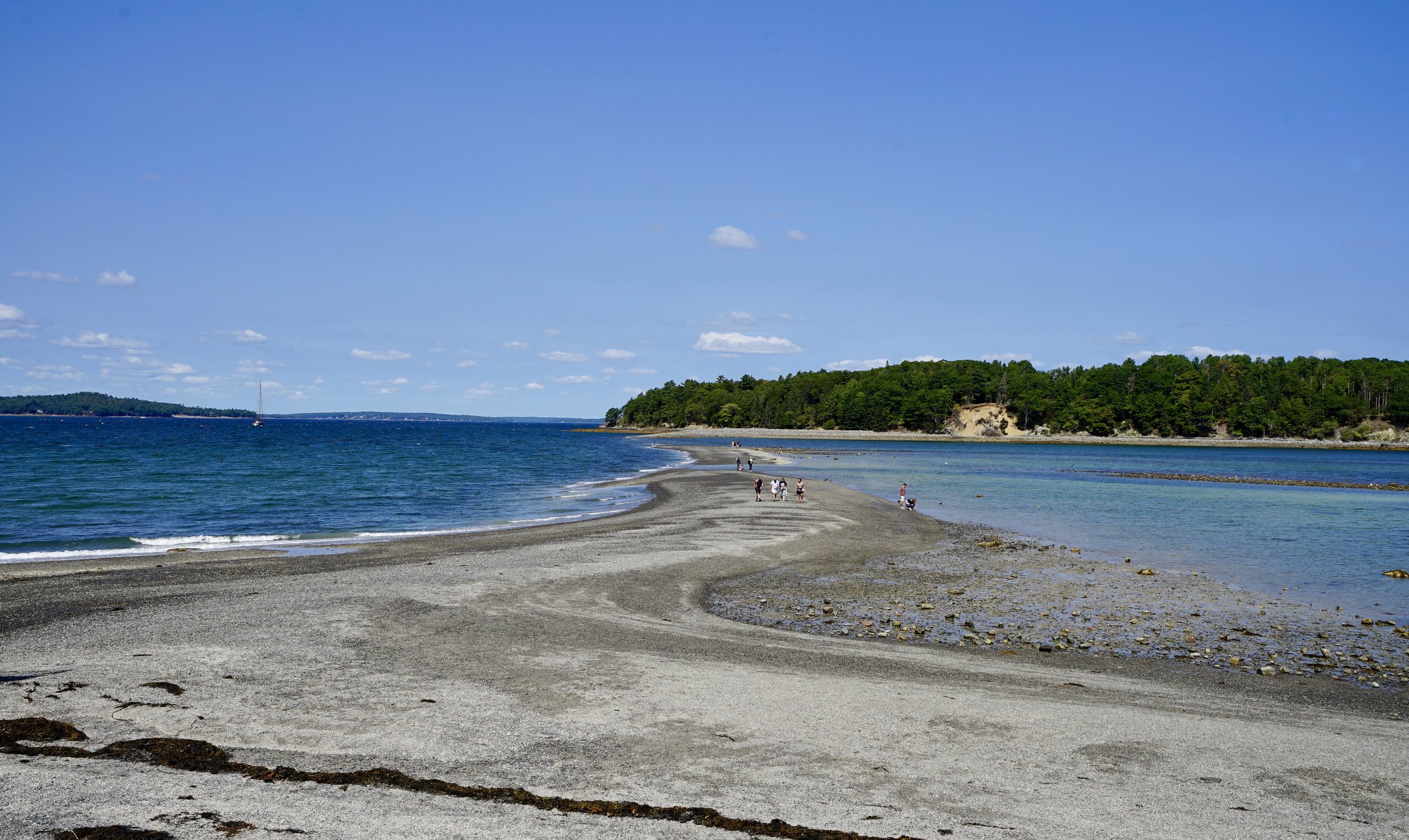 DSC05794.JPG