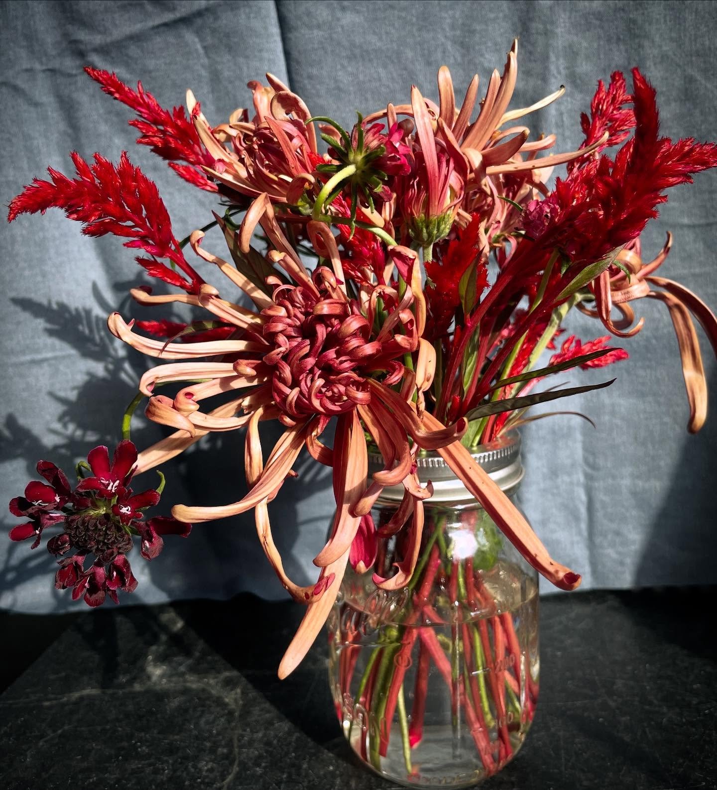 I&rsquo;m so excited to be at the first indoor market tomorrow at Switchyard Park Pavilion! I&rsquo;ll have a beautiful selection of autumnal flowers to share with you all. Now off to get my costume together for trick or treating!