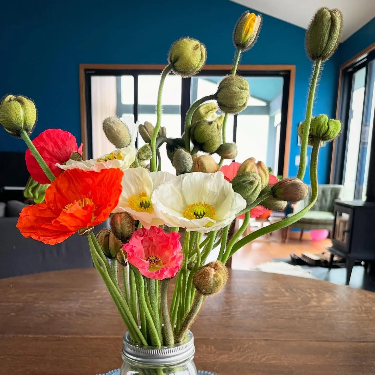 Let&rsquo;s talk about poppies. These little jewels are harvested in the closed bud stage and will slowly unfurl for you throughout the week. Occasionally they need a little encouragement&mdash;just gently peel back the papery casing and they&rsquo;l