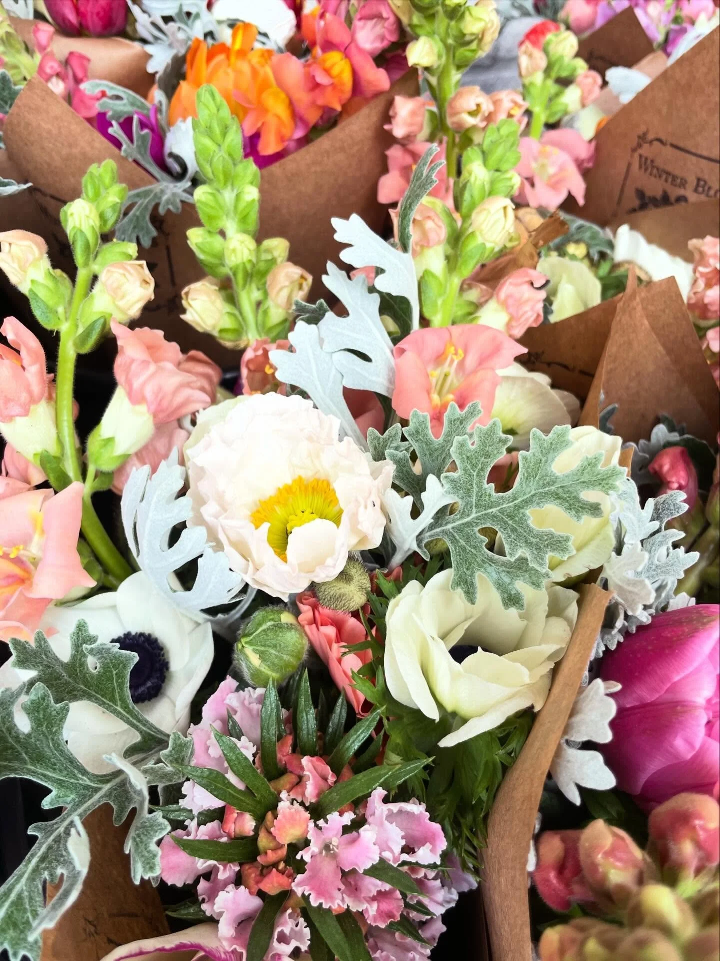 All ready for the Bloomington Winter Farmer&rsquo;s Market tomorrow. See you there!