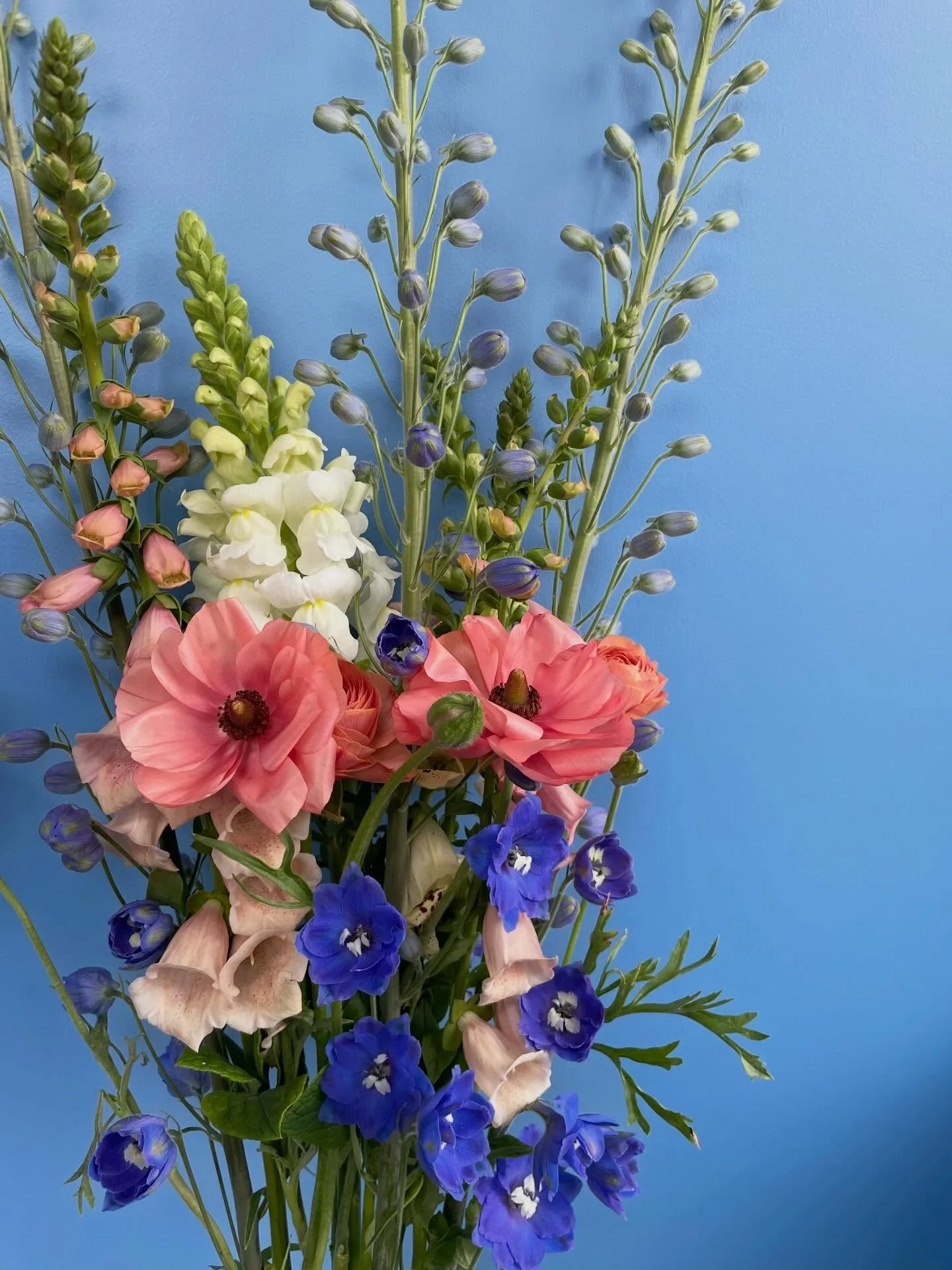 Super dreamy spring bouquets are designed and ready for tomorrow&rsquo;s final Bloomington Winter Farmers Market! 

Come early for the best selection&mdash;this week&rsquo;s color palette came together in the most beautiful way, and the bouquets are 