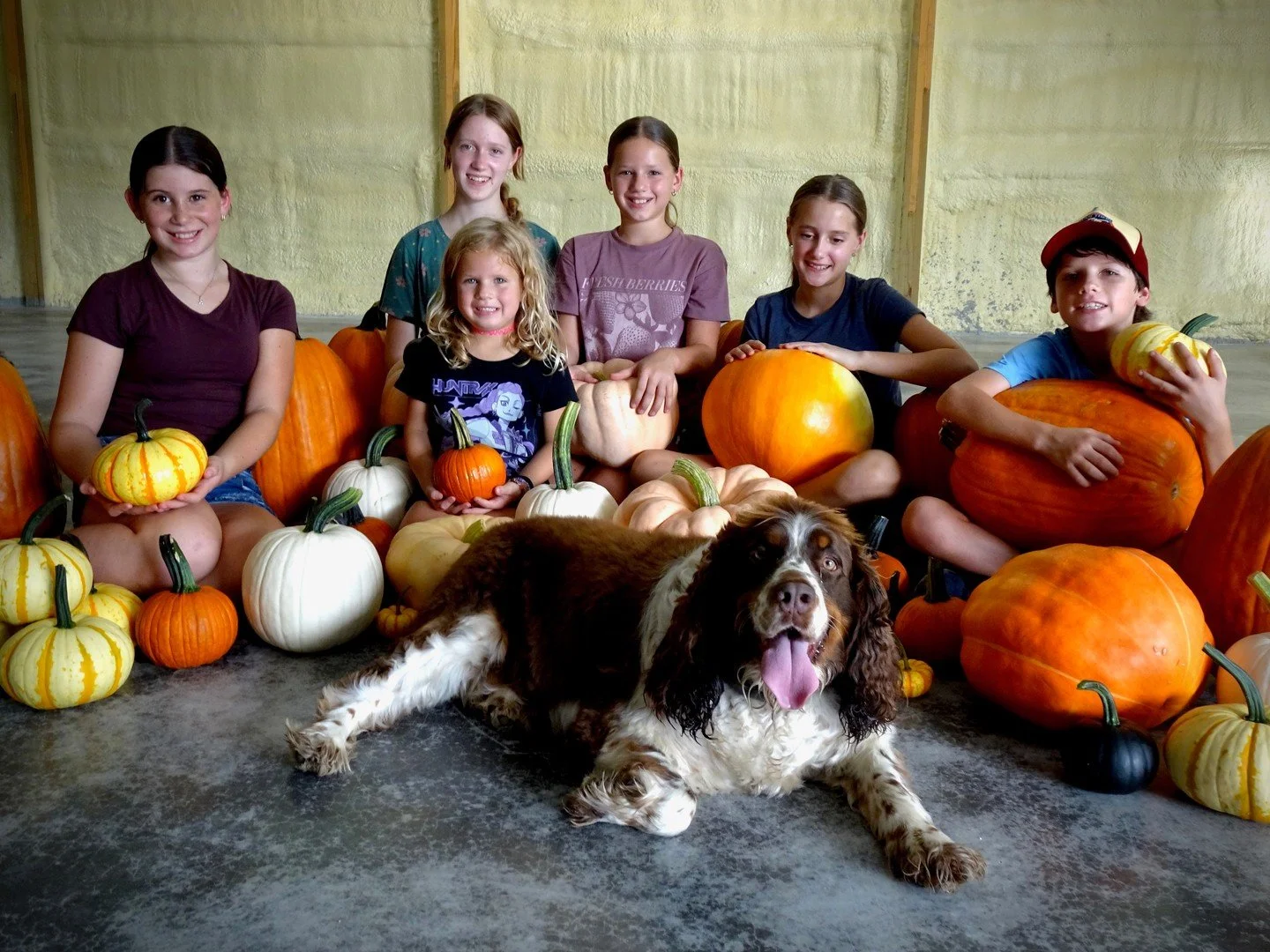 Our seven young growers have been hard at work all summer growing, tending, harvesting, and curing their very own pumpkin patch! Now they&rsquo;re hauling their pumpkins to the Youth Day at the Market tomorrow, Saturday, Sept. 26, 9&ndash;12:30 at Fe
