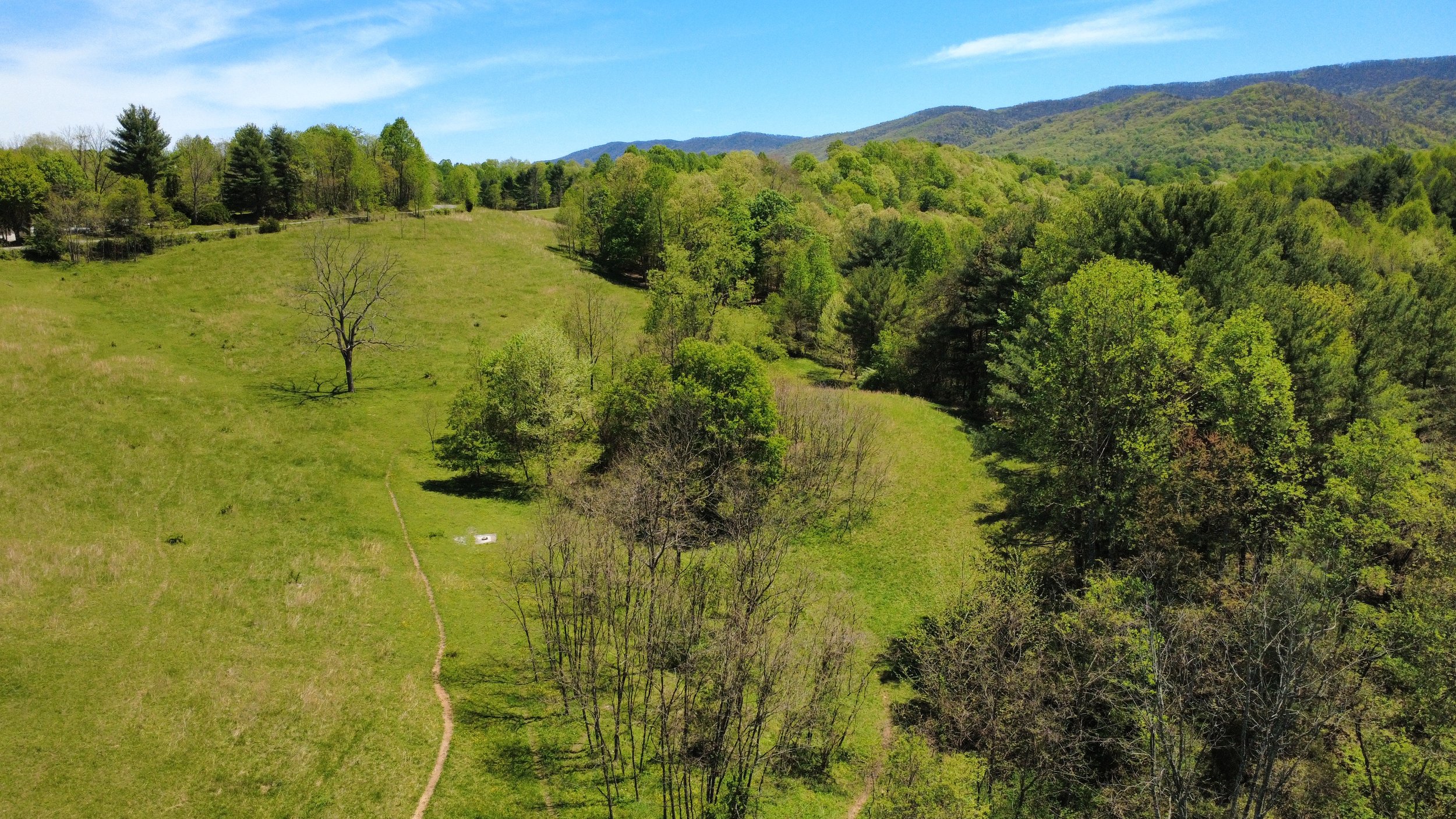 dji_fly_20250427_131408_24_1745774175704_photo_optimized.jpg