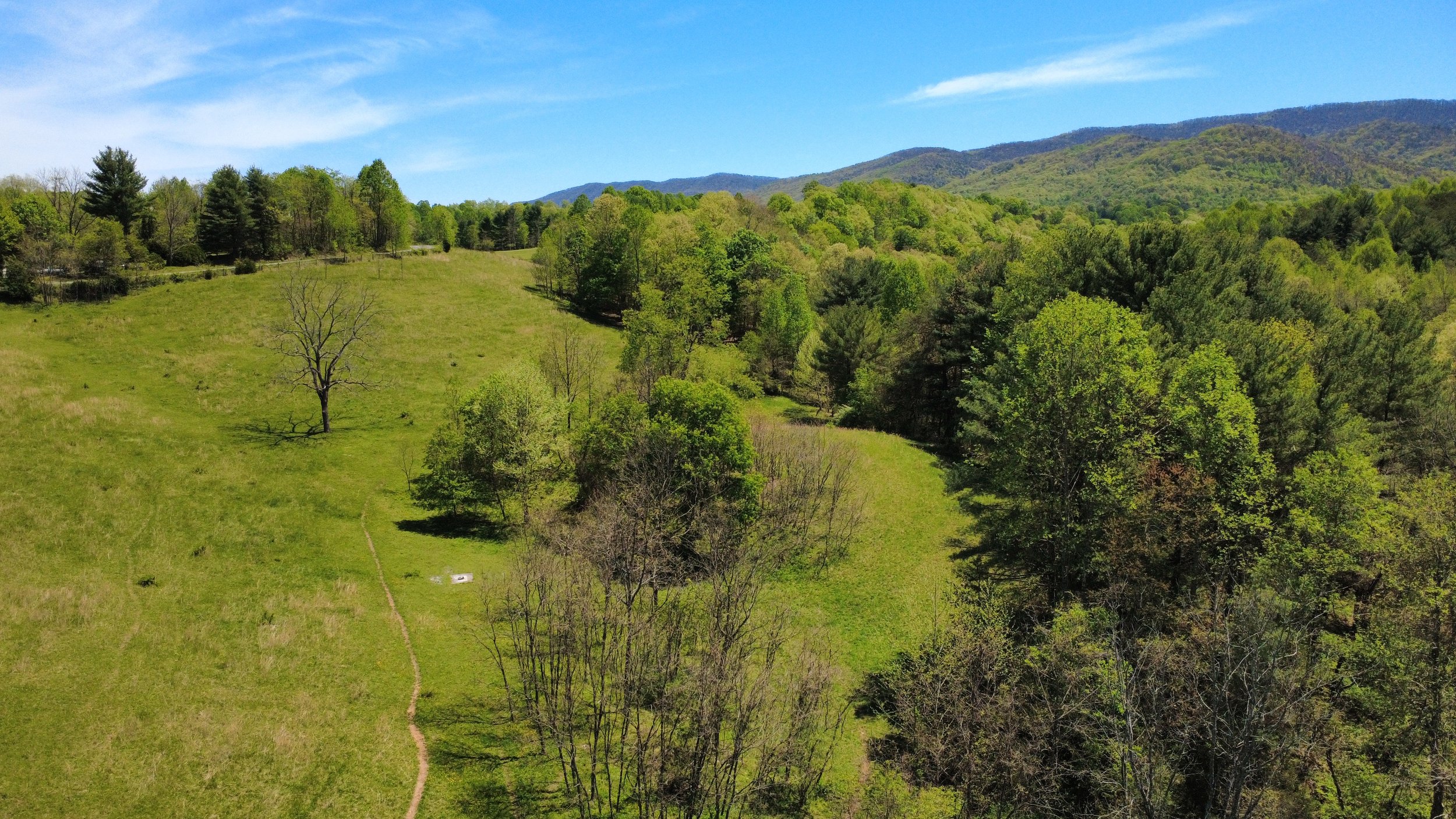 dji_fly_20250427_131324_20_1745774186625_photo_optimized.jpg