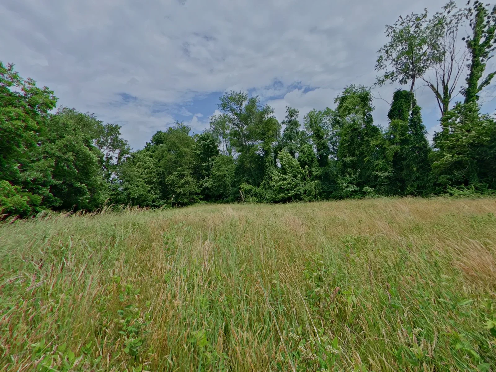 10329 Forest Hills Dr. Glade Spring - Lot for Sale