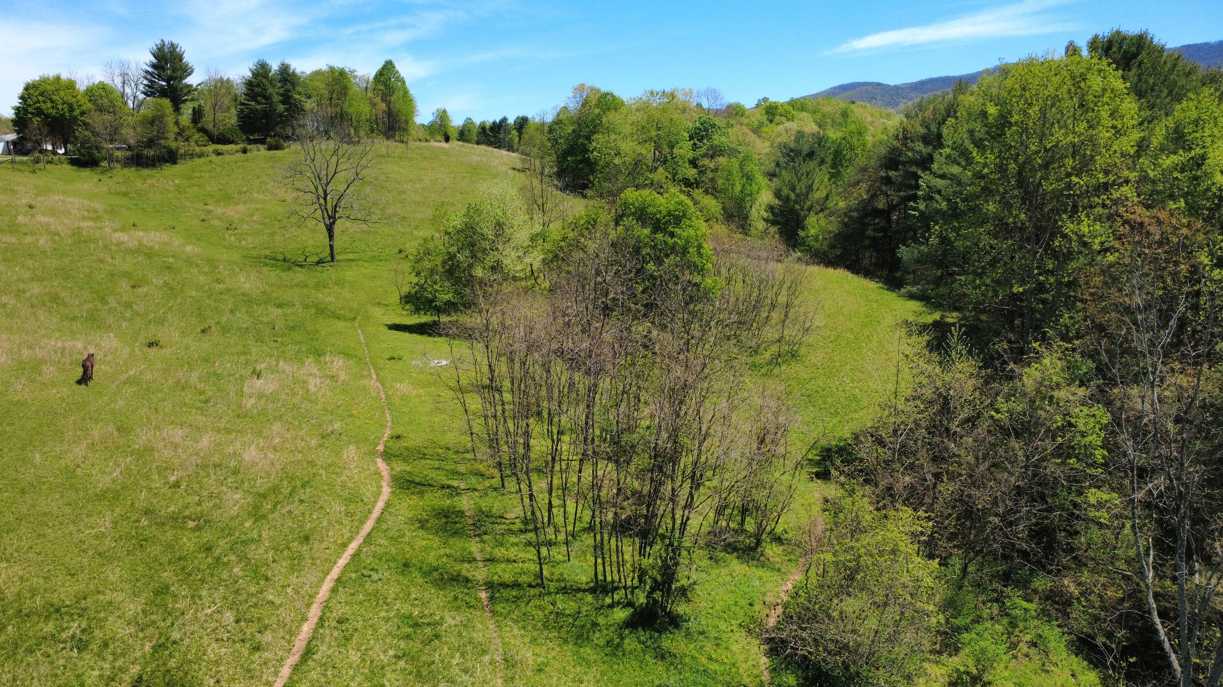 dji_fly_20250427_131540_27_1745774167954_photo_optimized.jpg