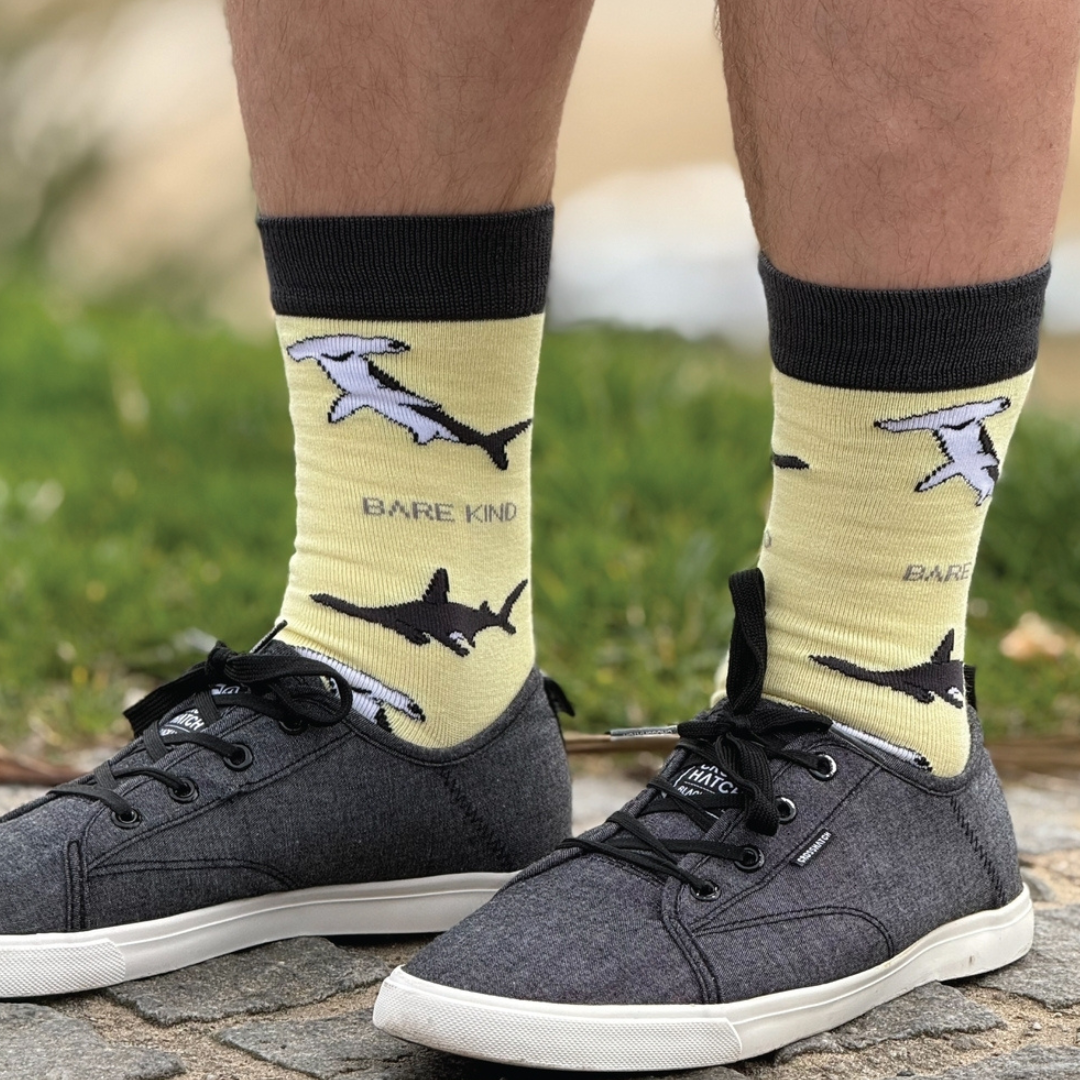 A cool blue portable cooler with a Moose logo, surrounded by water bottles and snacks, set outdoors by a lake with mountains in the background, suggesting a camping or picnicking scene.
