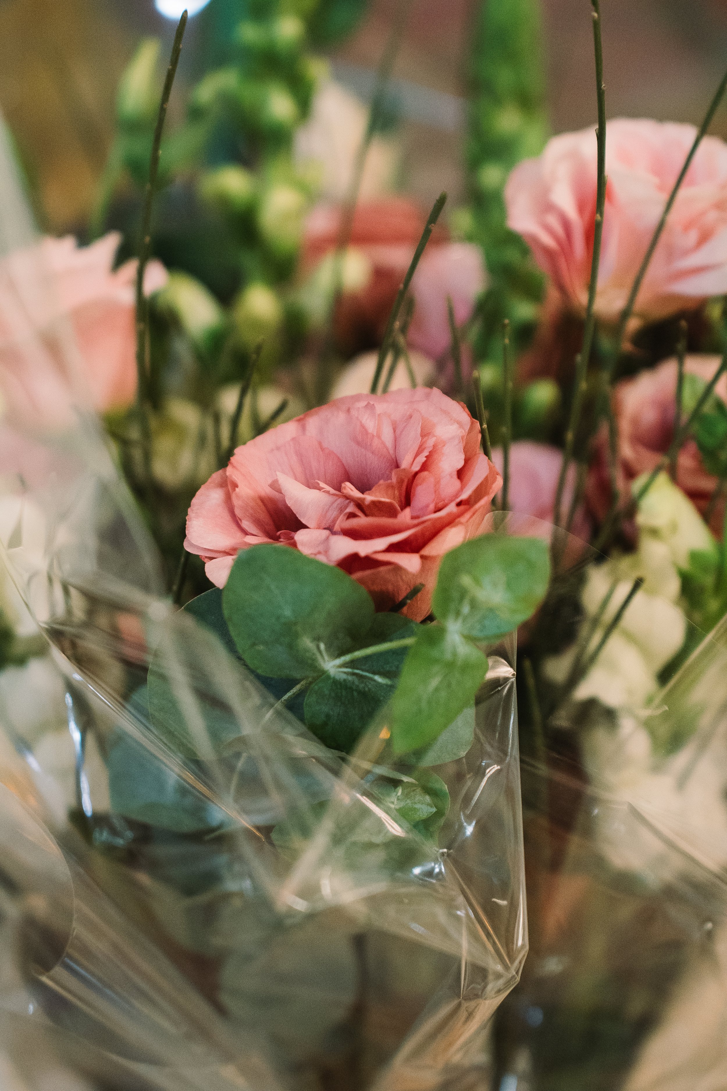 Wrotslavsky Lechaim 2025