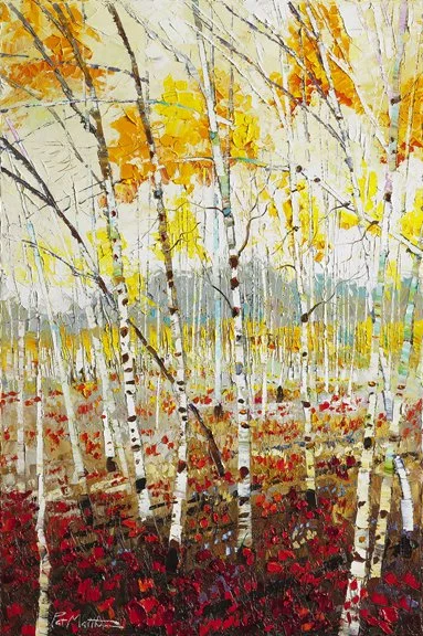 Impressions of Light