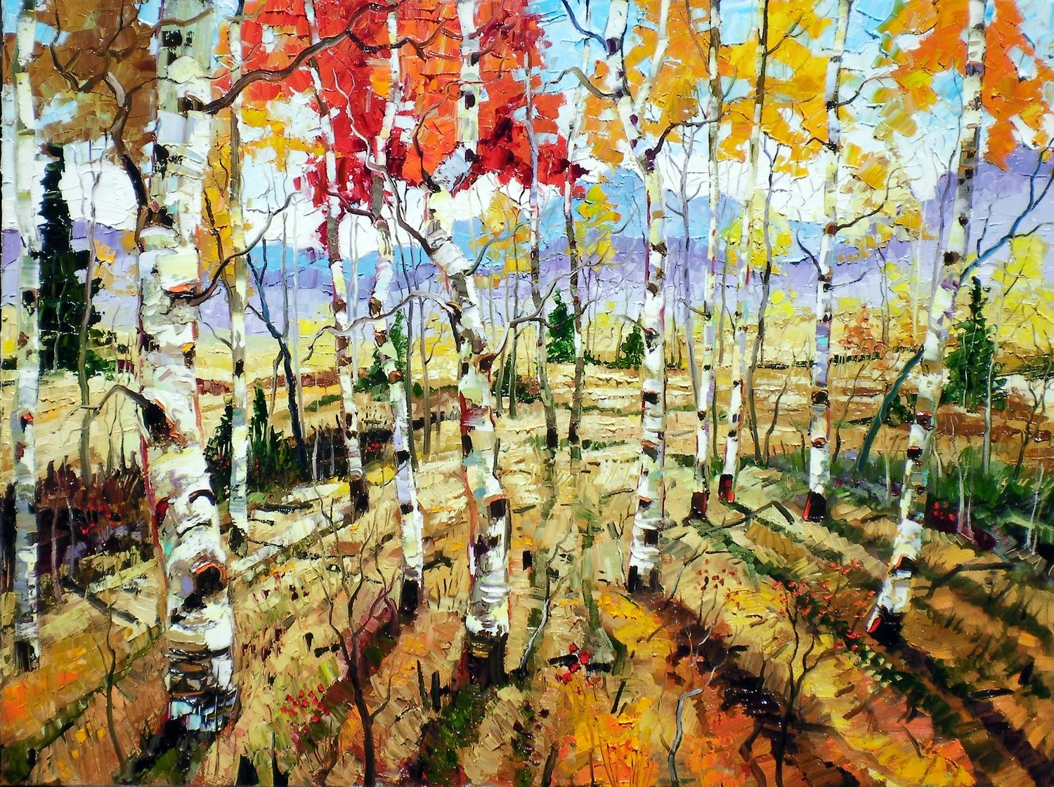 Field of Aspens