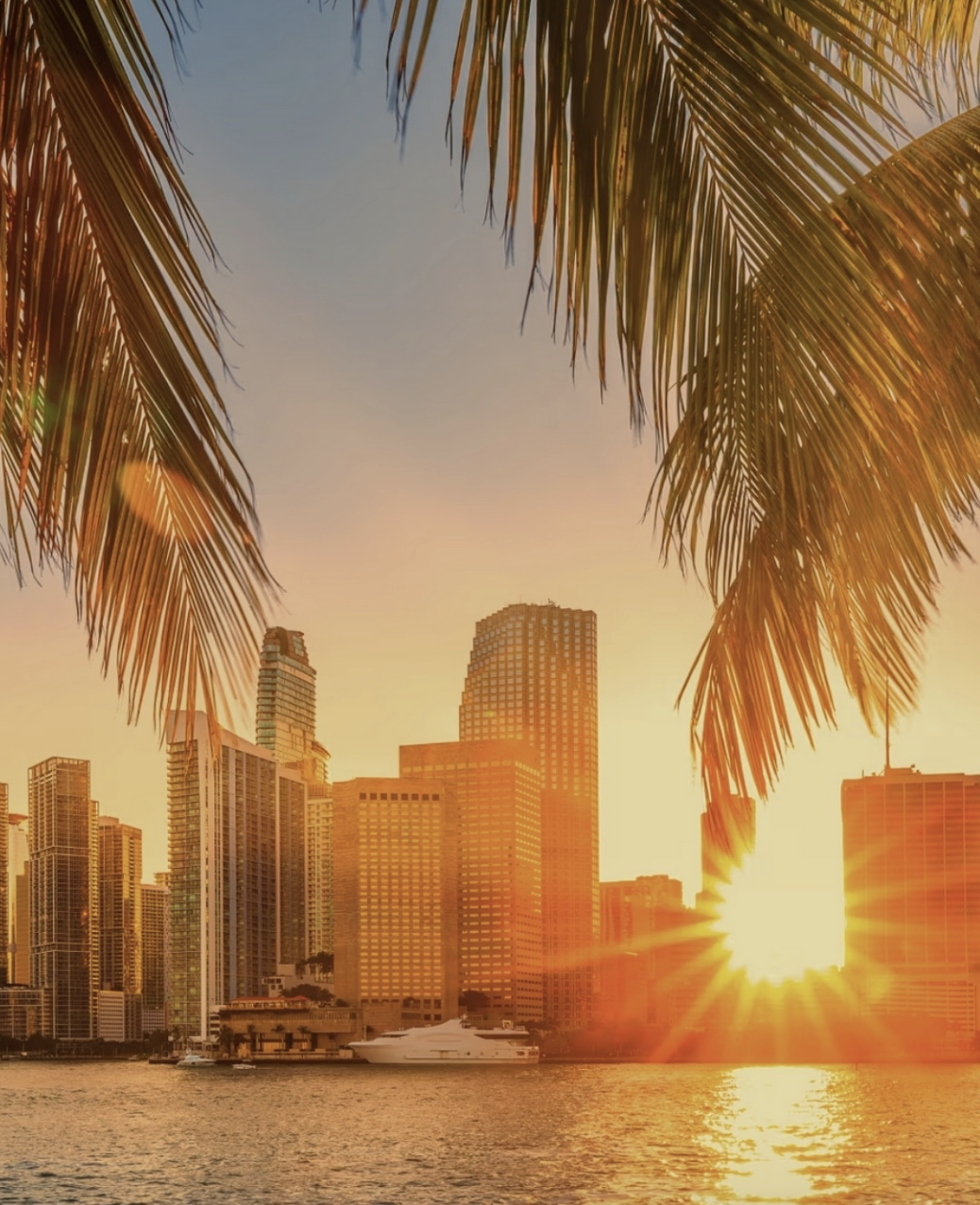 Wellist Week Miami - April 13 - 19, 2026