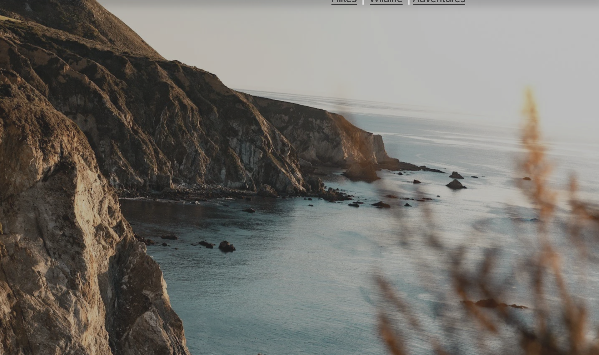 Ragged Point