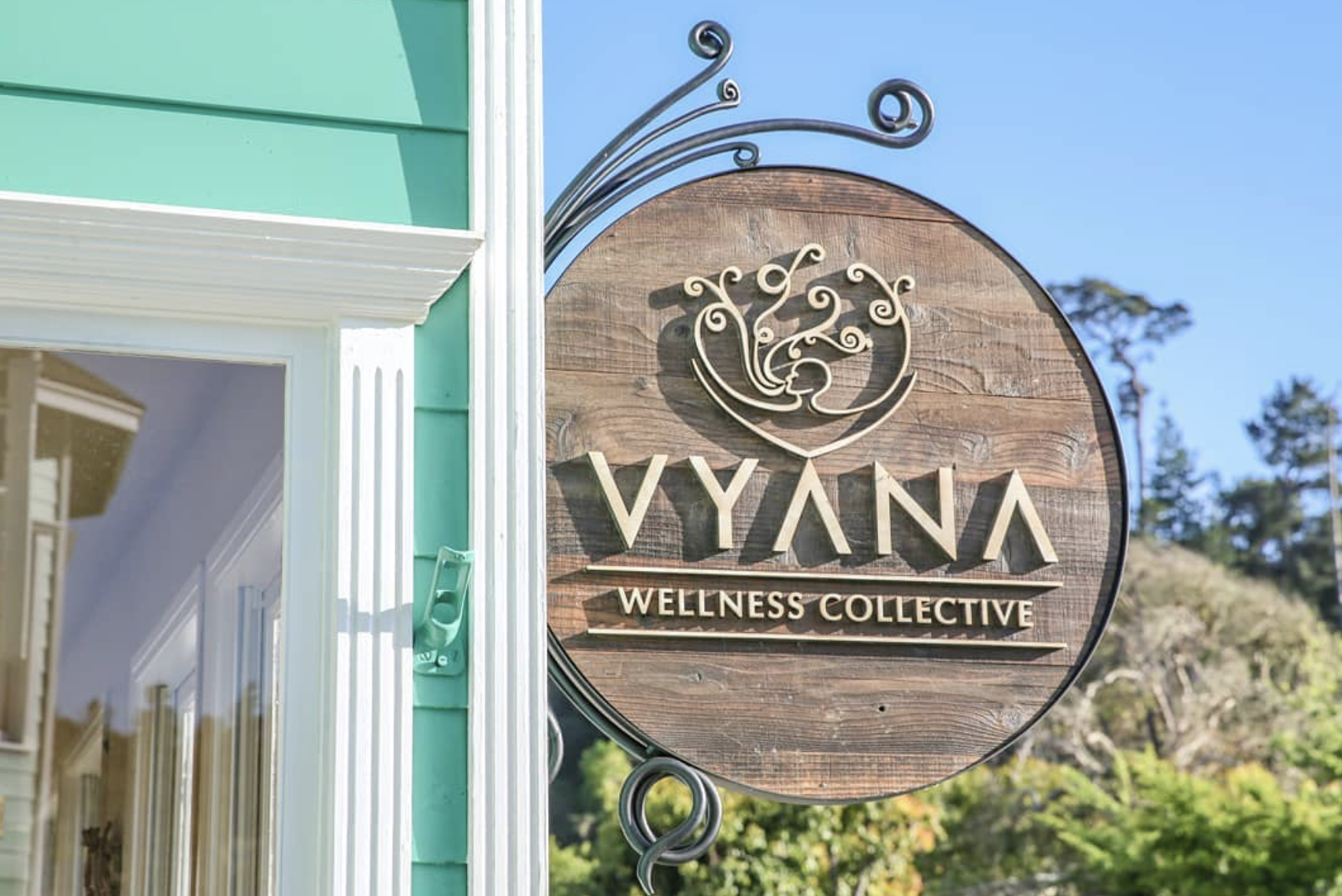 Vyana Wellness Collective